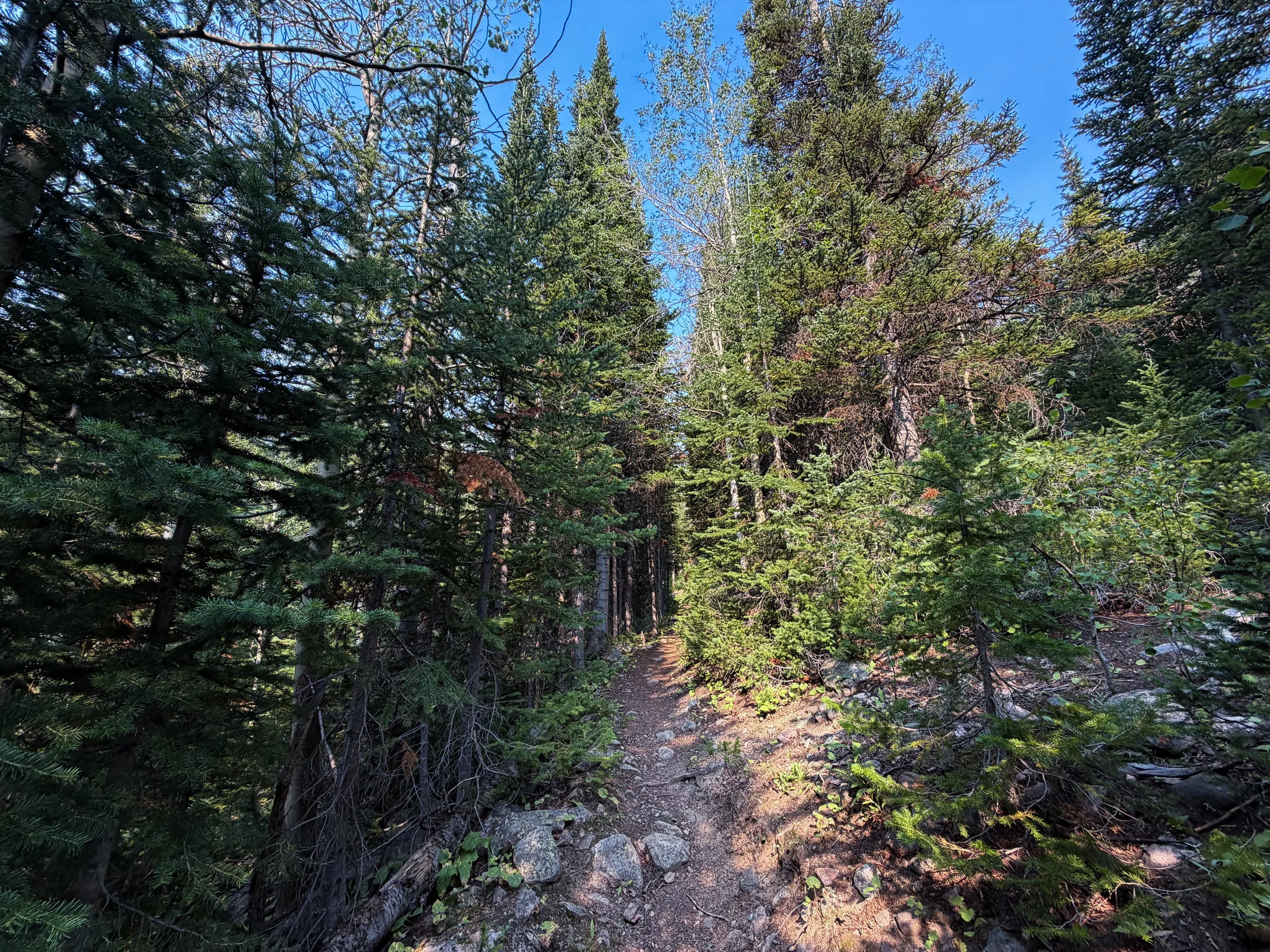 East Rosebud Trail The Beaten Path Beartooth Mountains Montana
