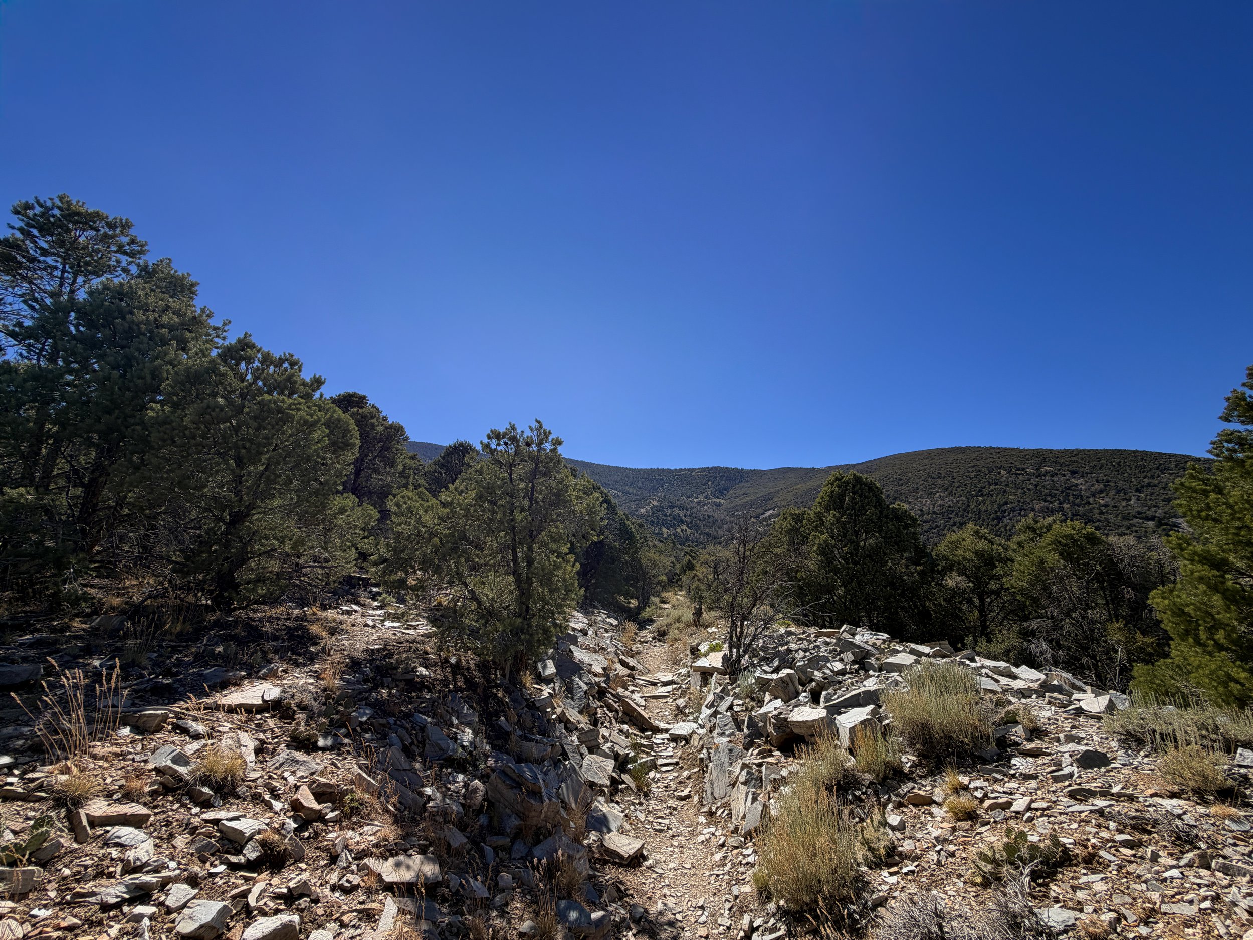 Osceola Ditch Trail Great Basin National Park Nevada