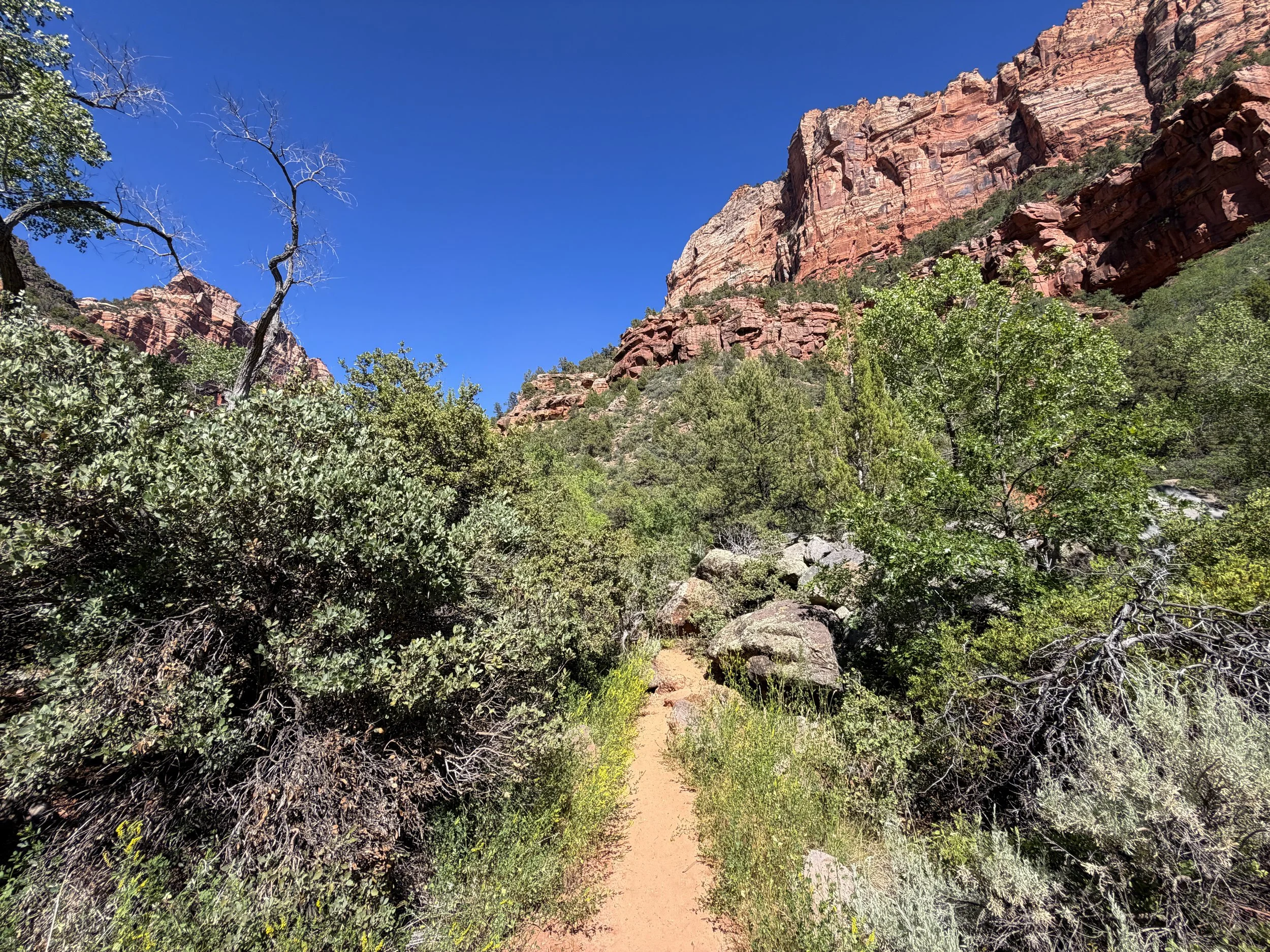Subway Hike Zion National Park Utah