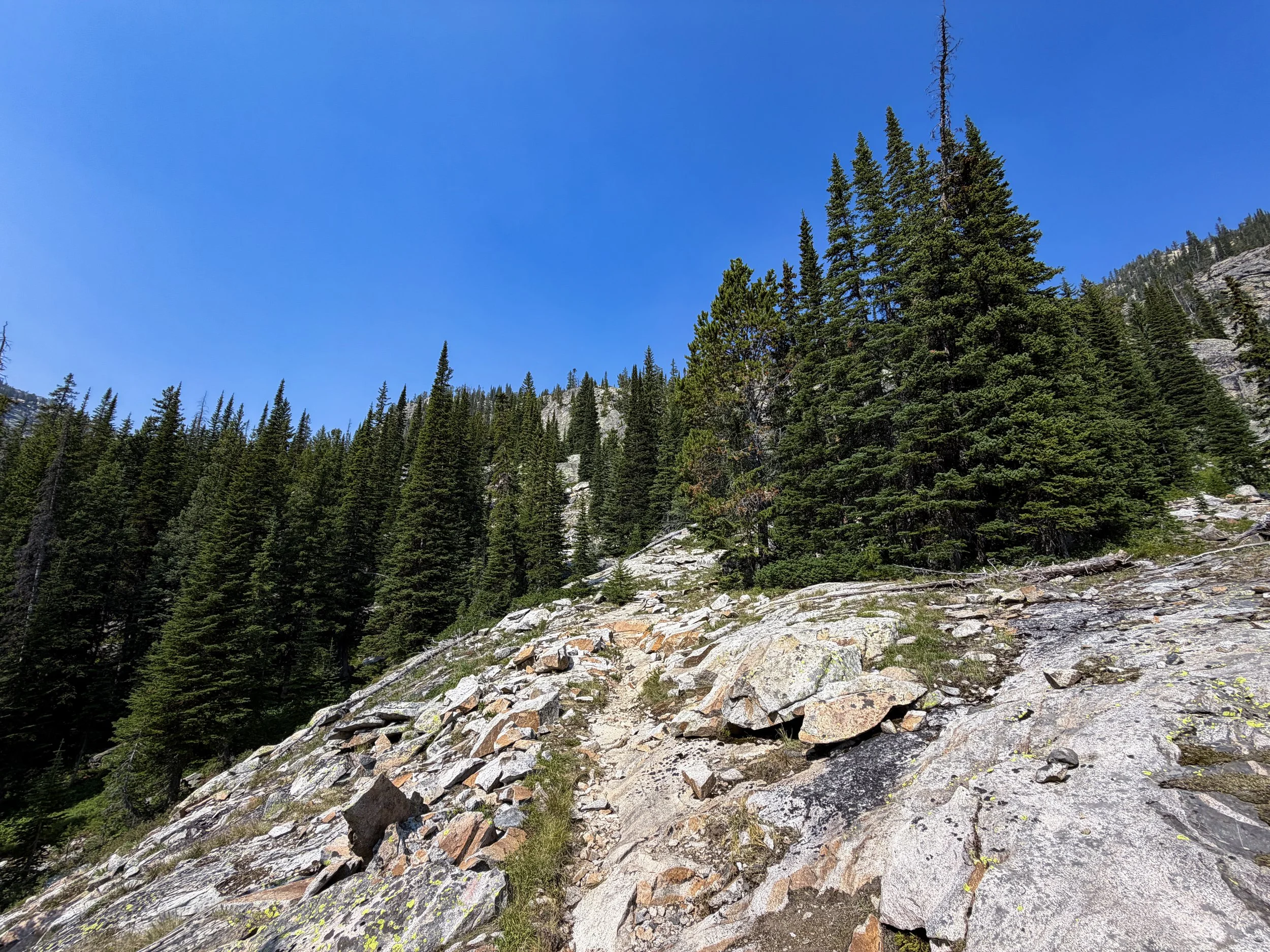 East Rosebud Trail The Beaten Path Beartooth Mountains Montana