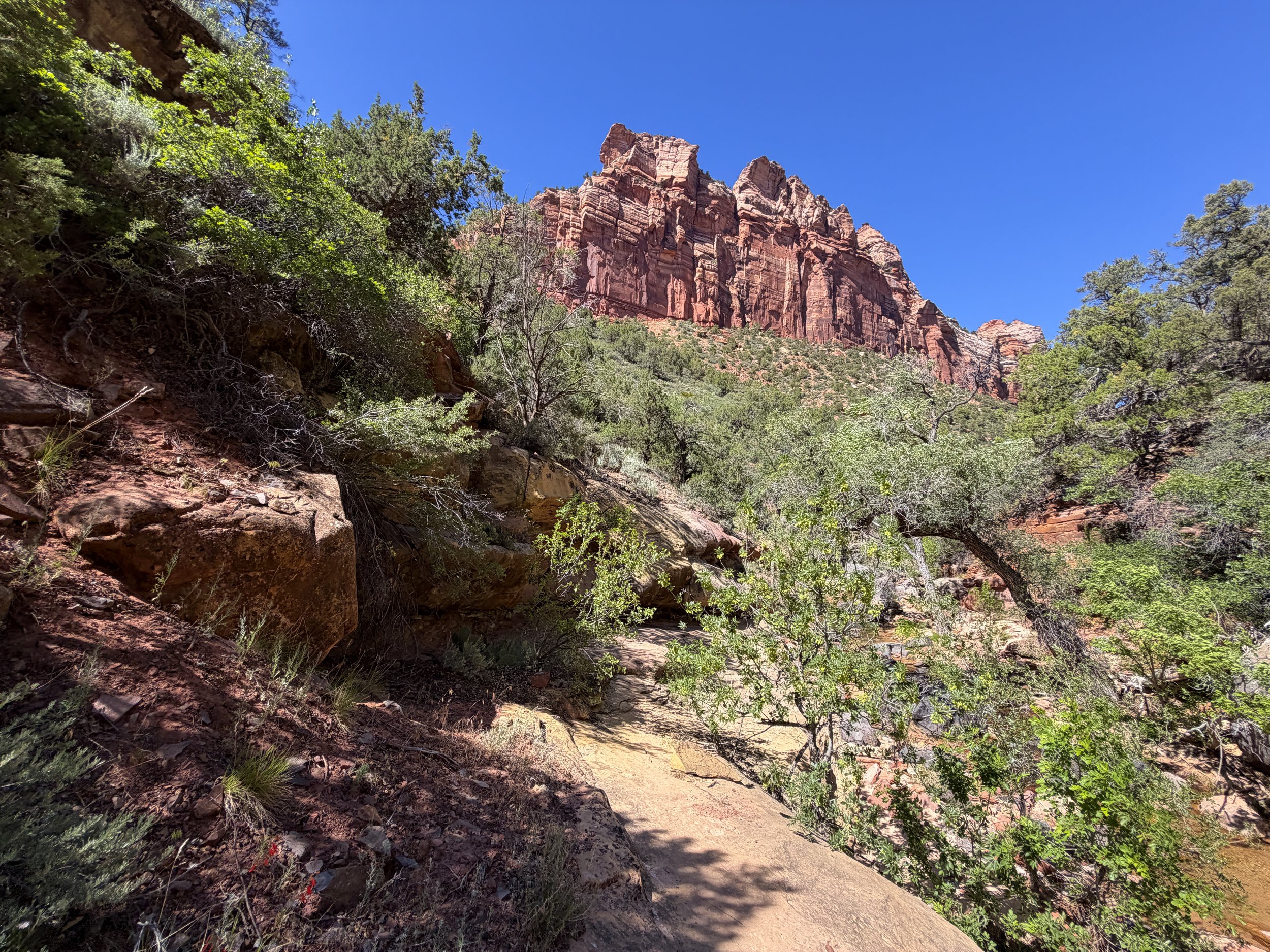 Subway Trail via Left Fork of the North Creek Zion National Park Utah