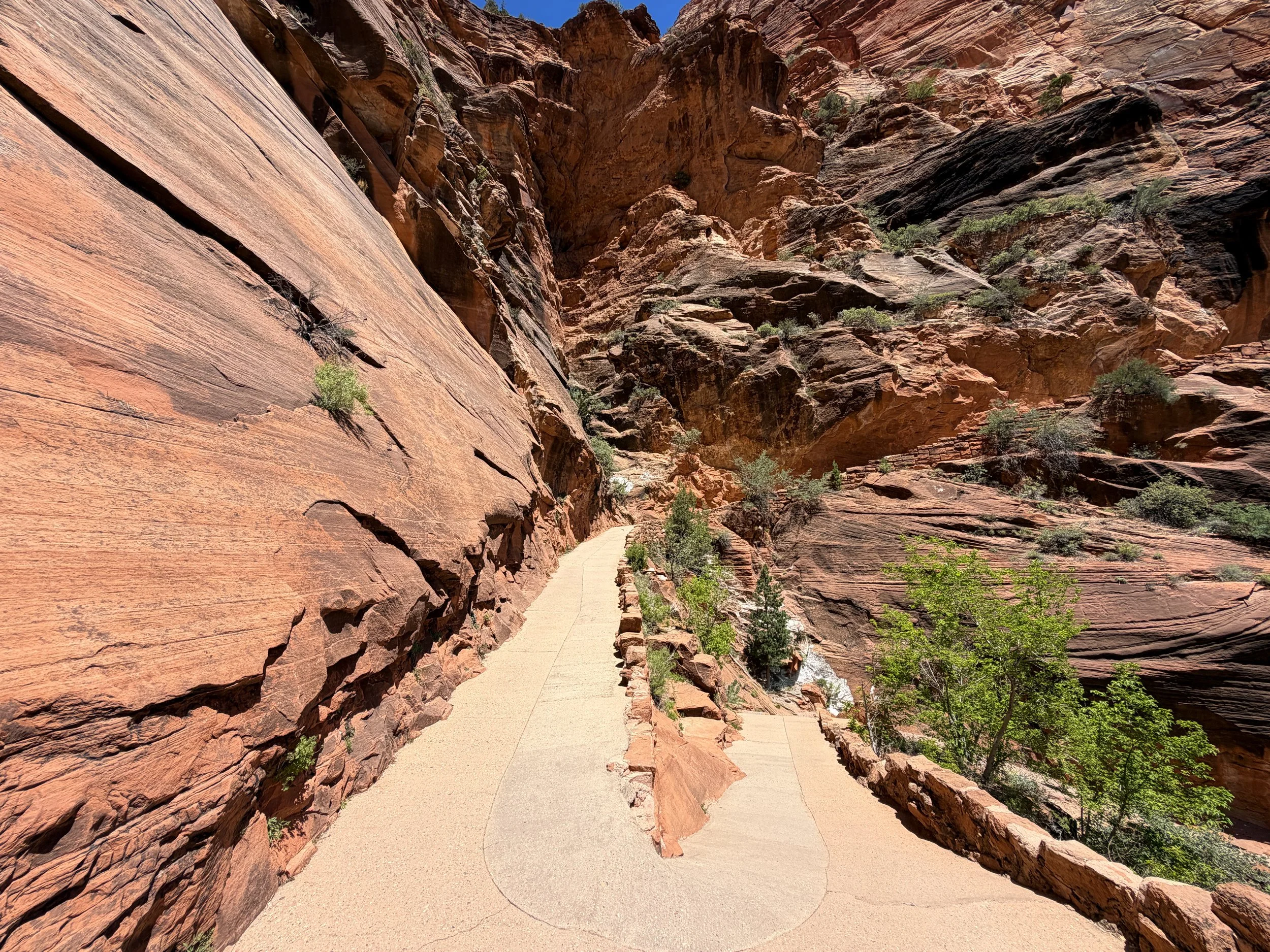 Angels Landing Trail Switchbacks Zion National Park Utah