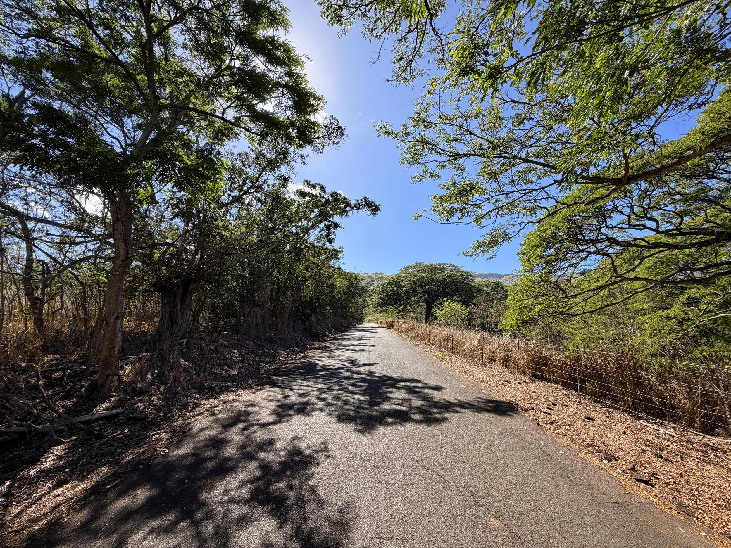 Mokuleia Access Road Trail Oahu Hawaii