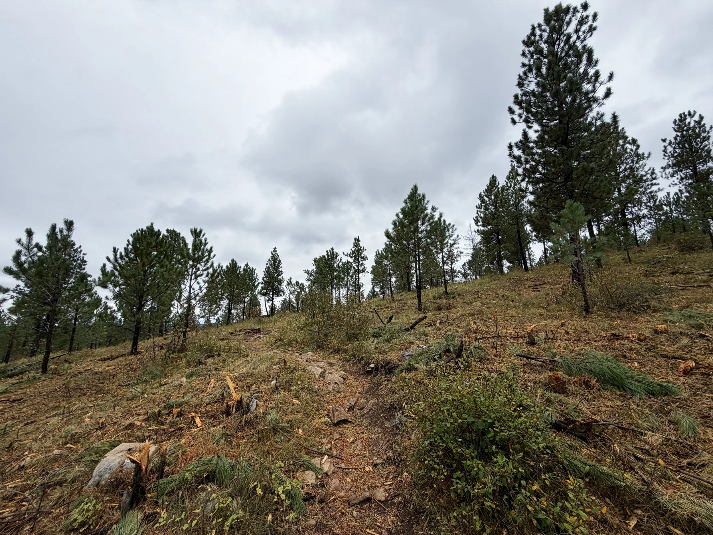 Buzzards Roost Trail Black Hills Rapid City South Dakota