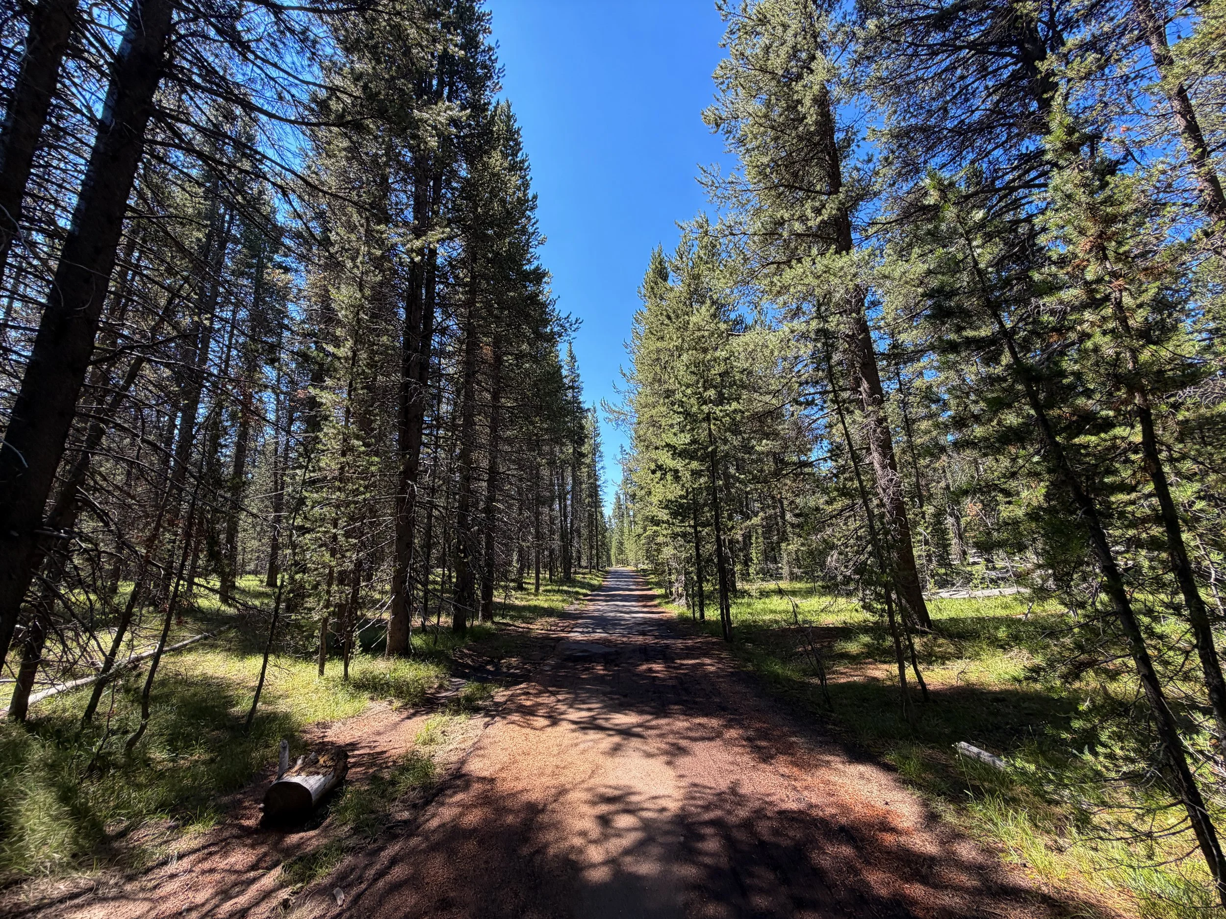 Lone Star Trail Yellowstone National Park Wyoming
