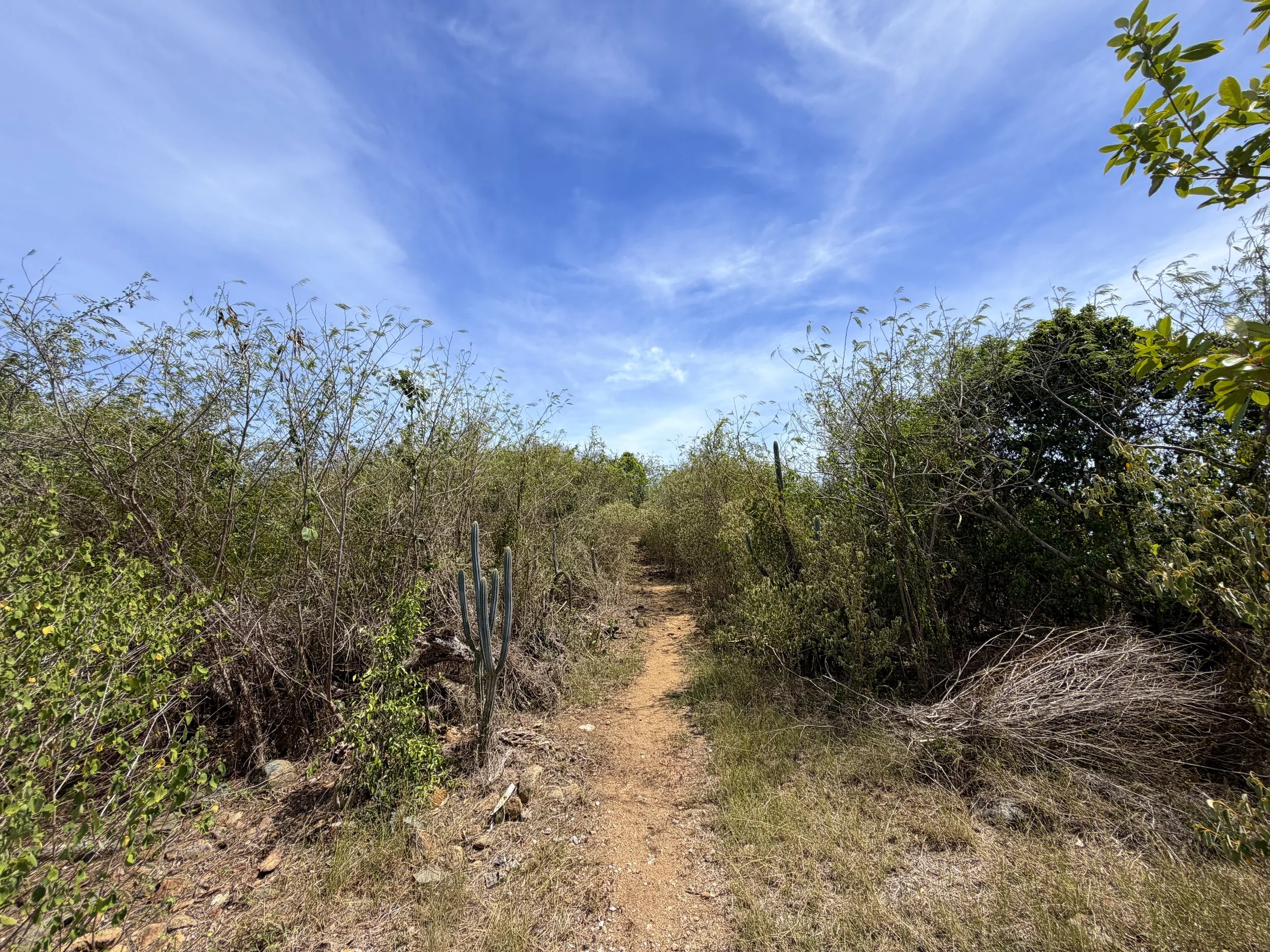 Yawzi Point Trail Virgin Islands National Park