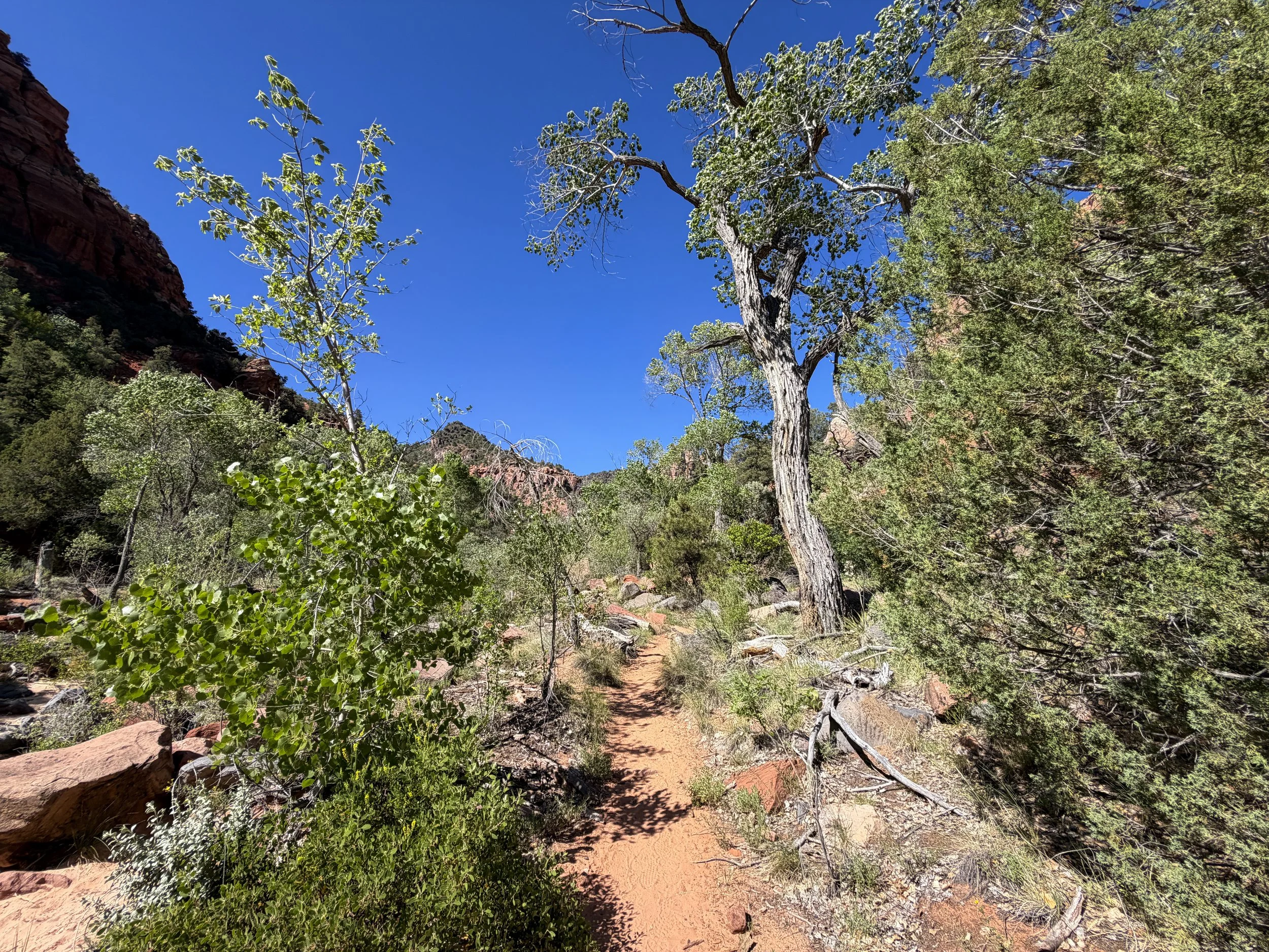 Subway Trail Bottom Up Route Zion National Park Utah