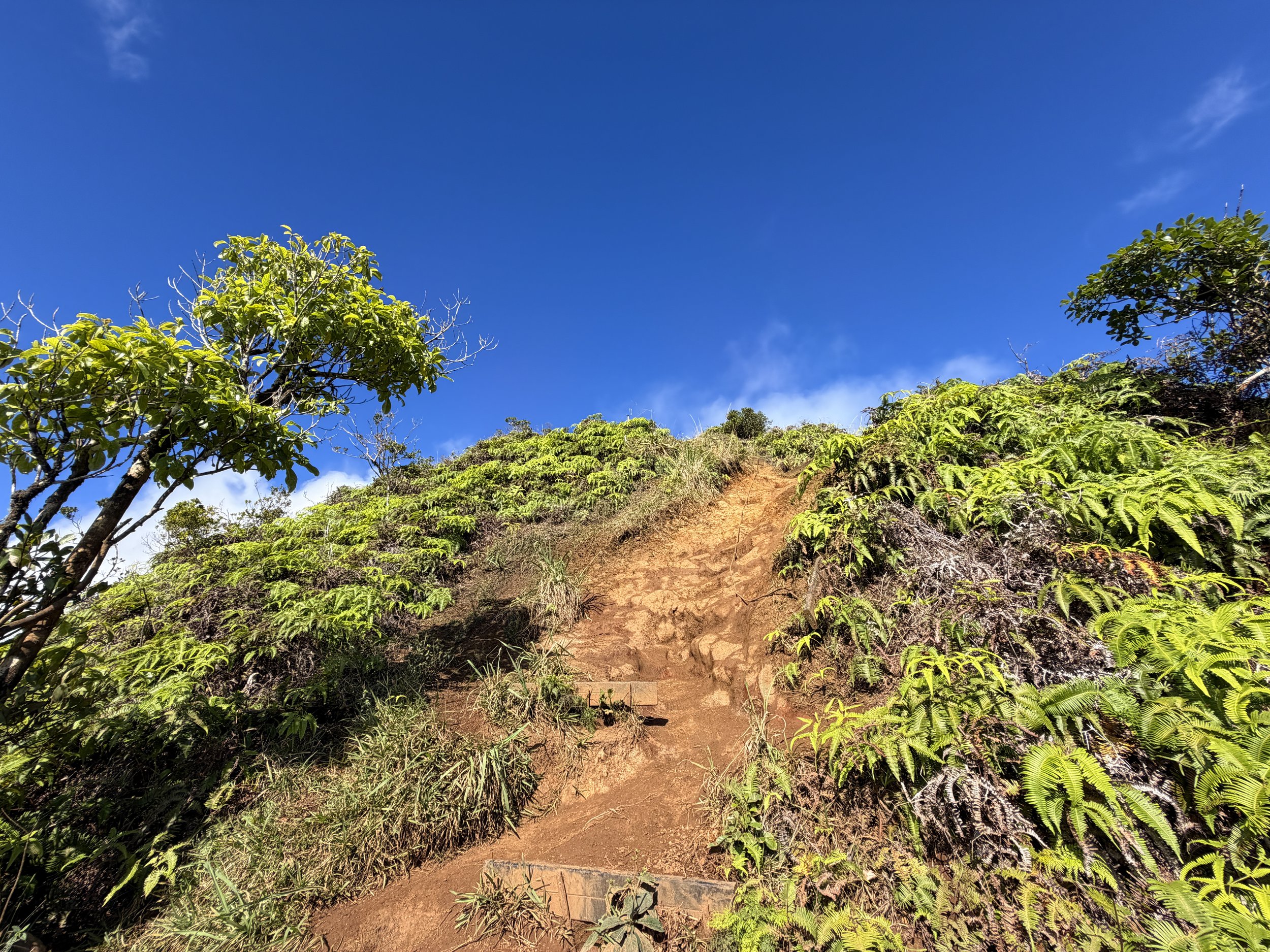 Wiliwilinui Ridge Hike Ropes Oahu Hawaii
