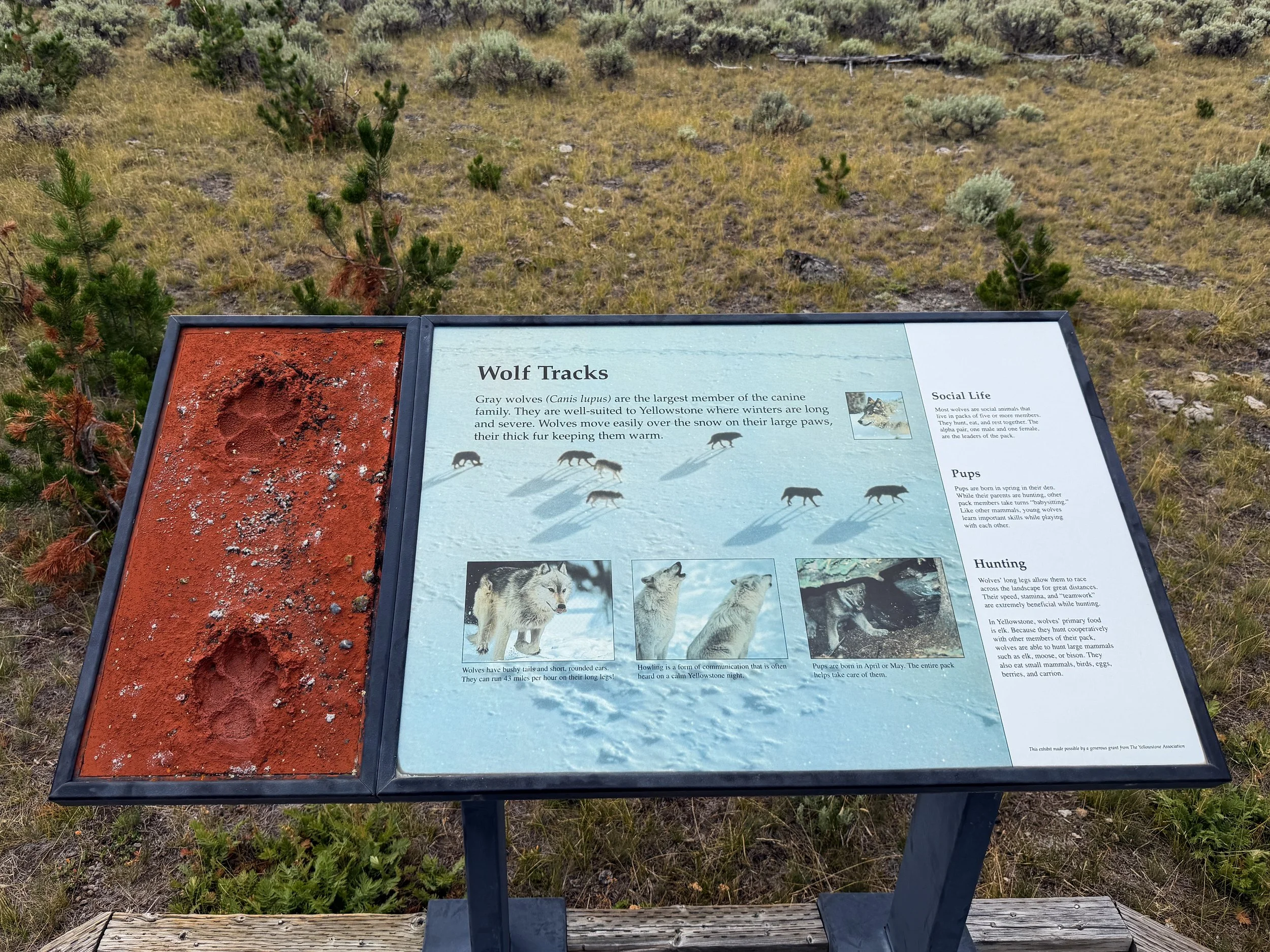 Forces of the Northern Range Trail Yellowstone National Park Wyoming