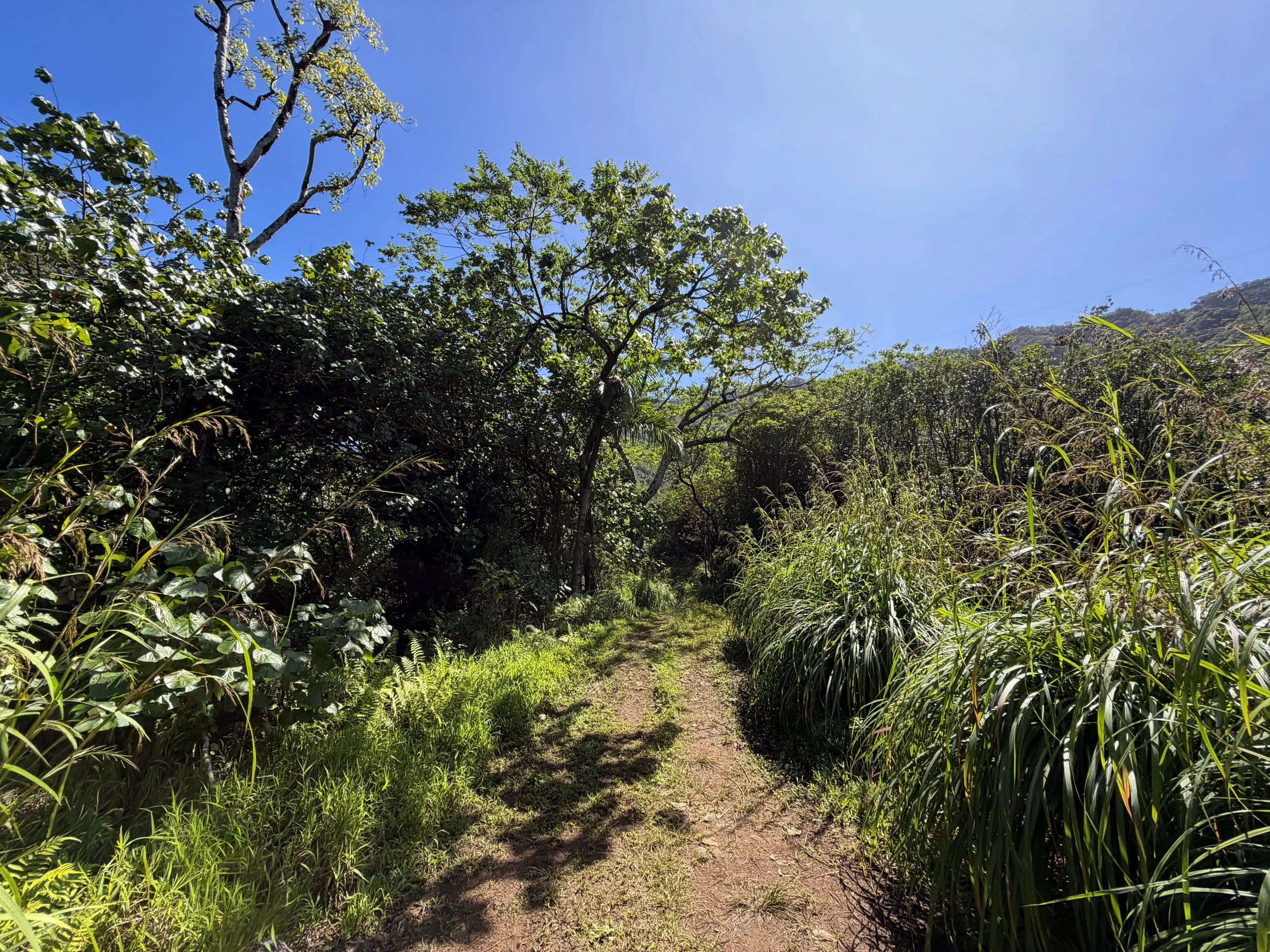 Kulanaahane Trail Moanalua Valley Oahu Hawaii
