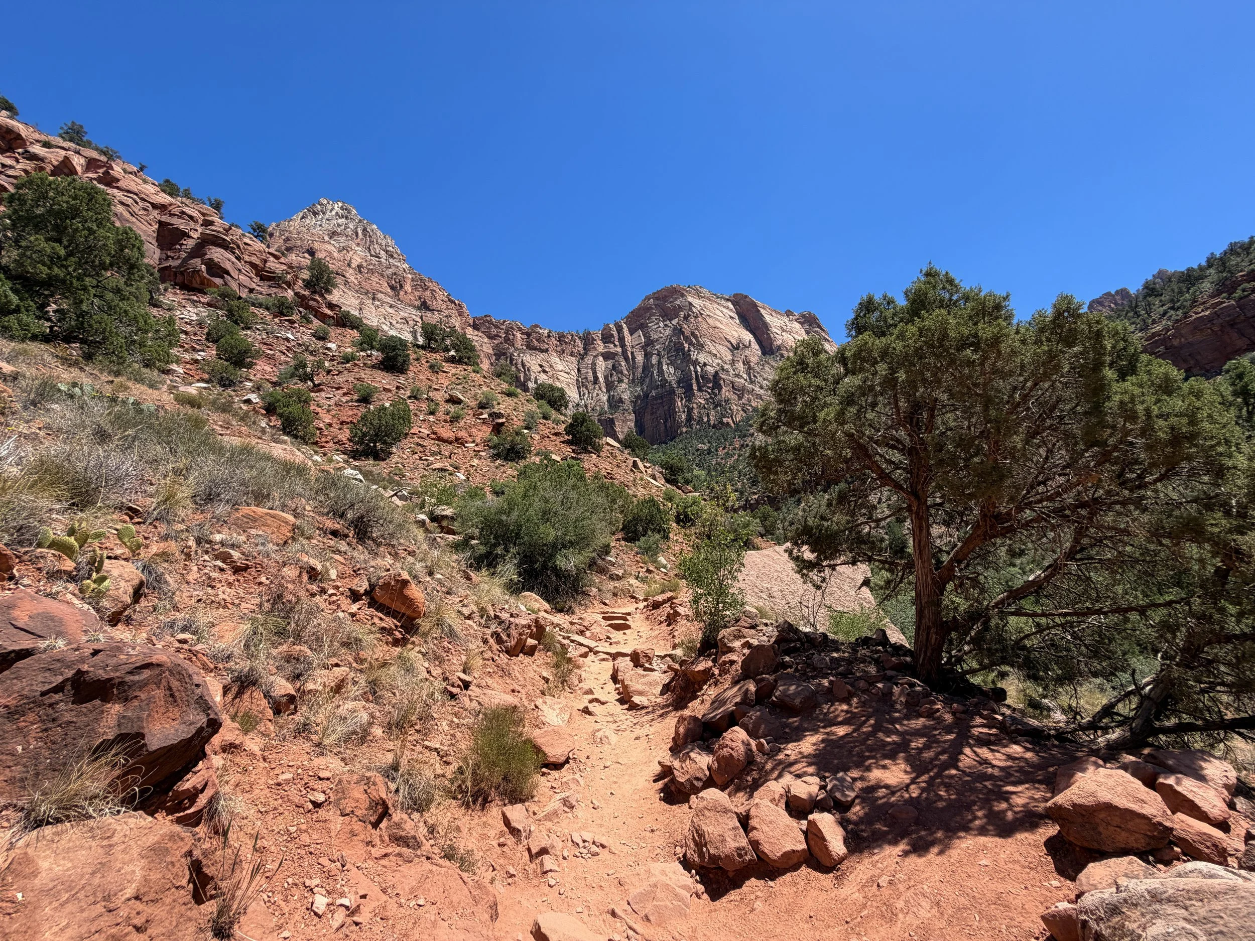 Watchman Hike Zion National Park Utah