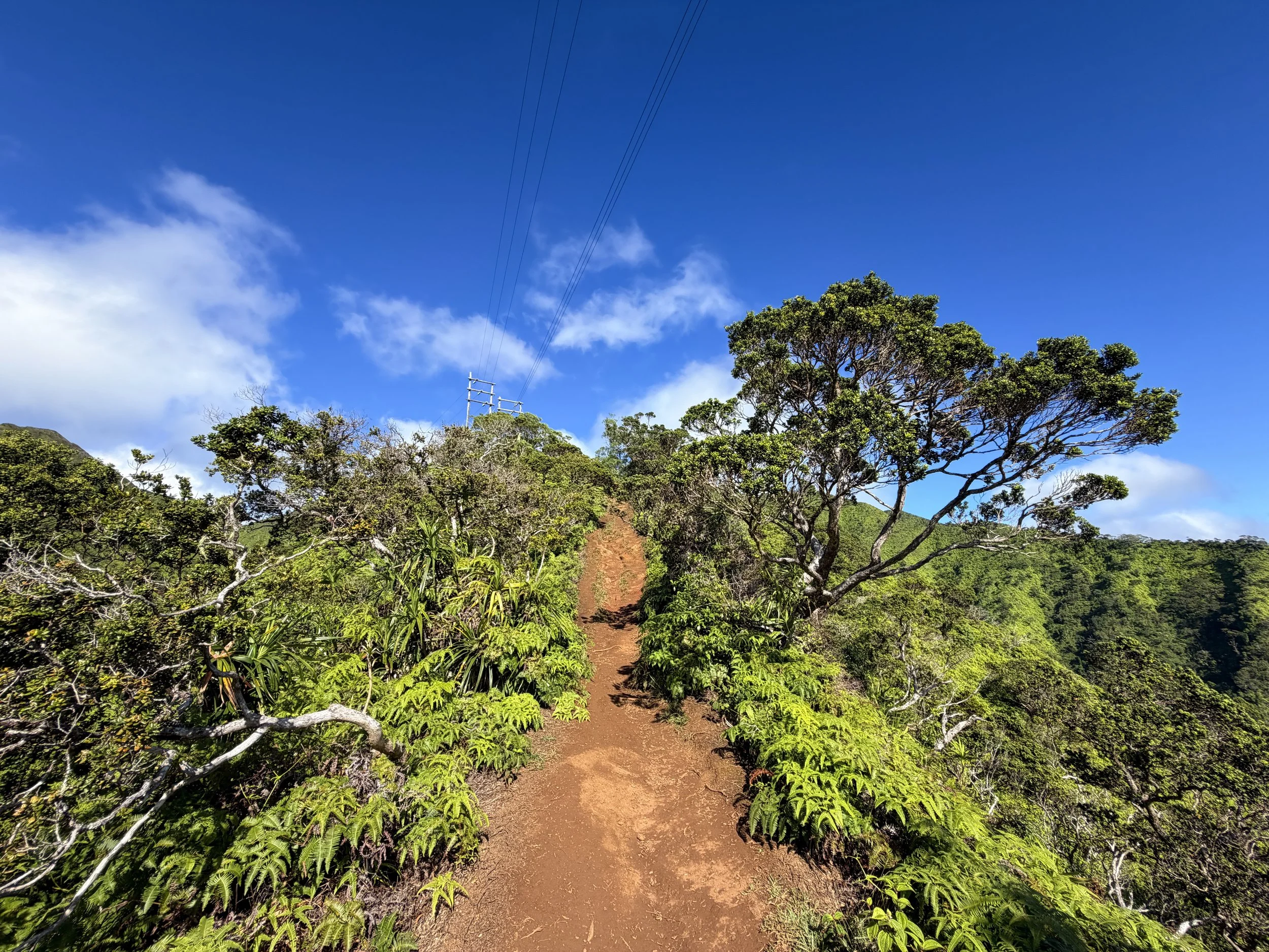 Wiliwilinui Ridge Trail Oahu Hawaii
