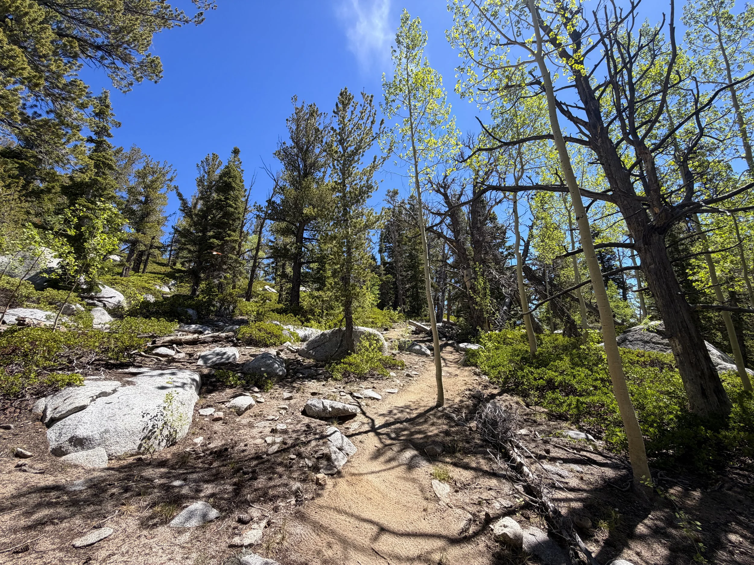 Dead Lake Trail Great Basin National Park Nevada