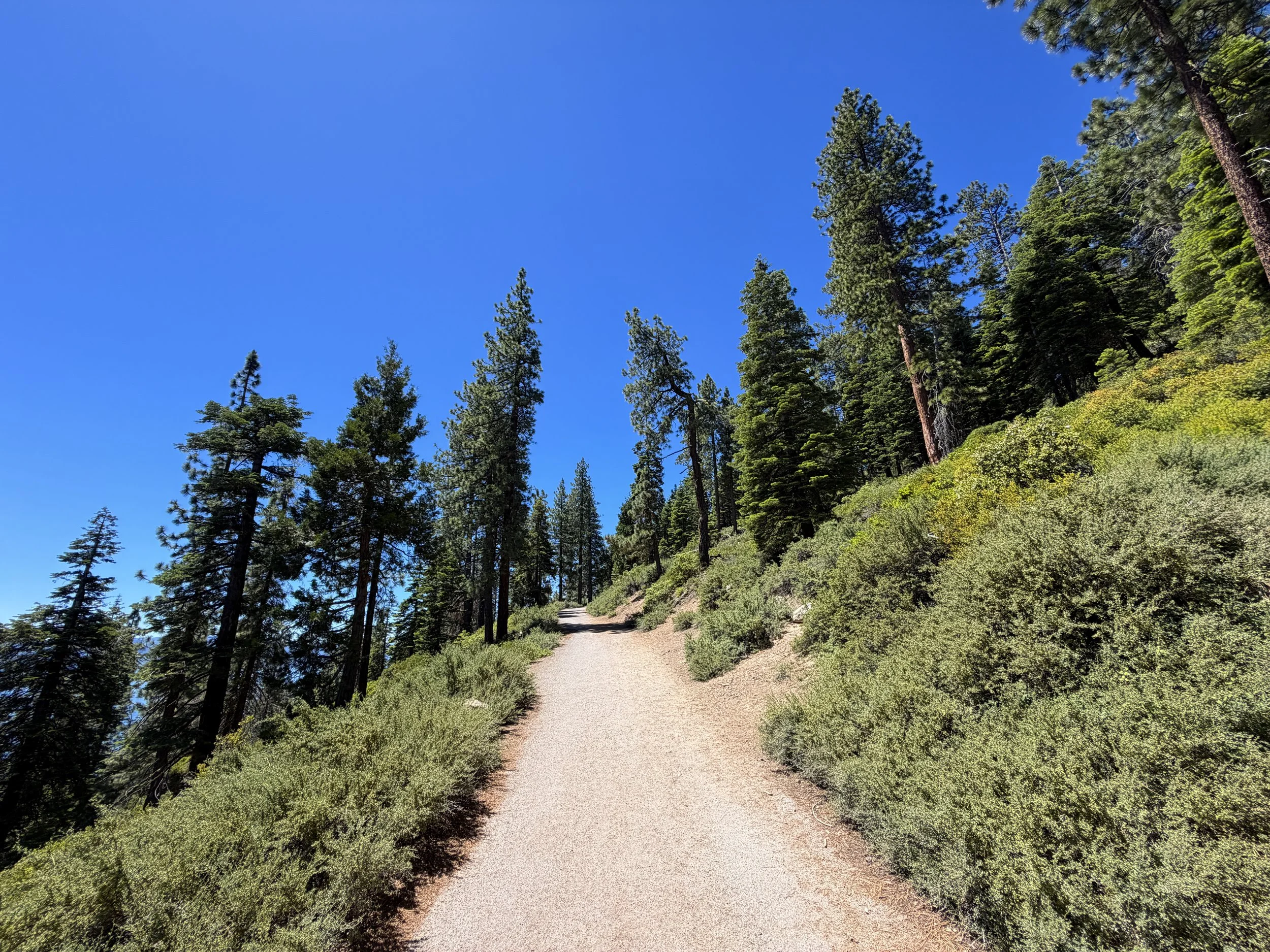 Stateline Lookout Trail Lake Tahoe California