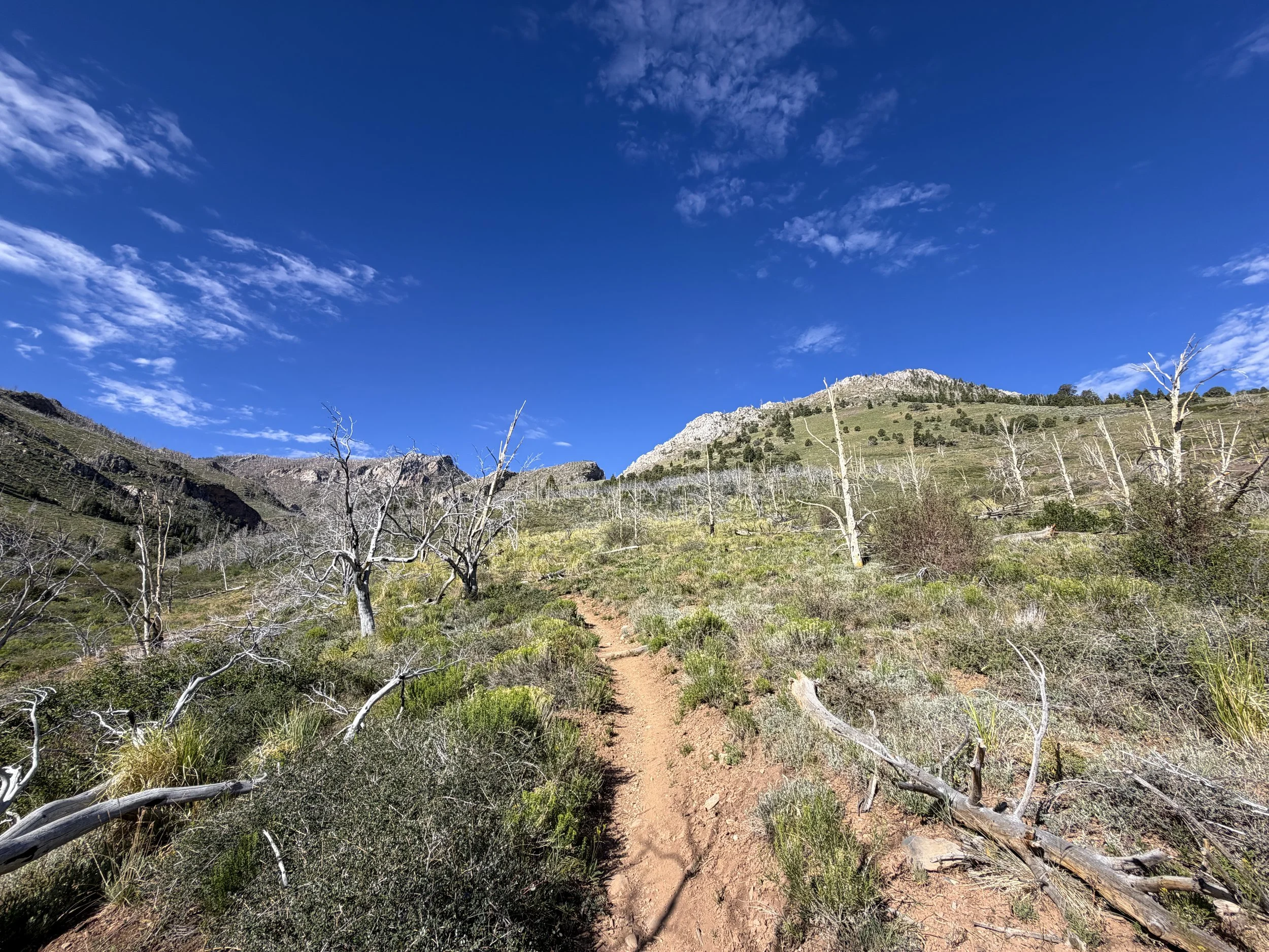 Lexington Arch Trail Great Basin National Park Nevada
