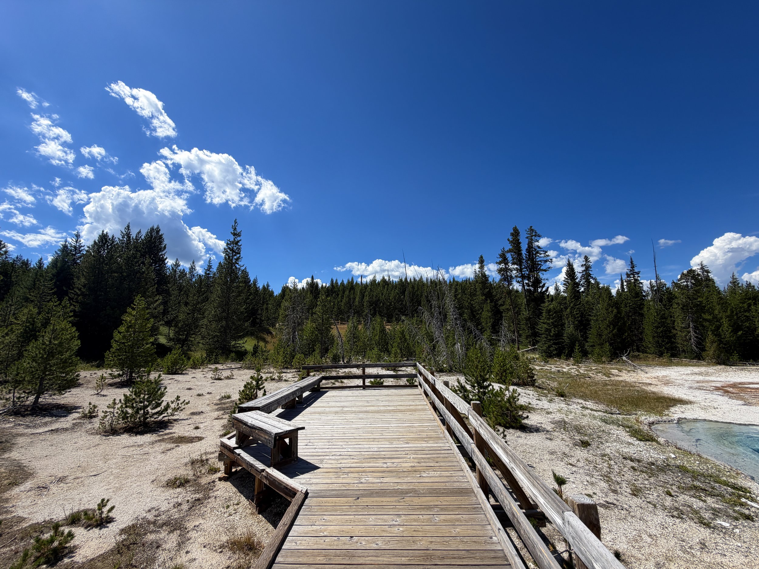 West Thumb Geyser Basin Trail Yellowstone National Park Wyoming