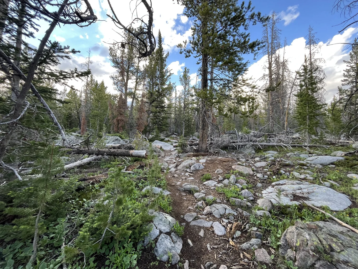 Hiking the Sacred Rim Trail in Pinedale, Wyoming — noahawaii