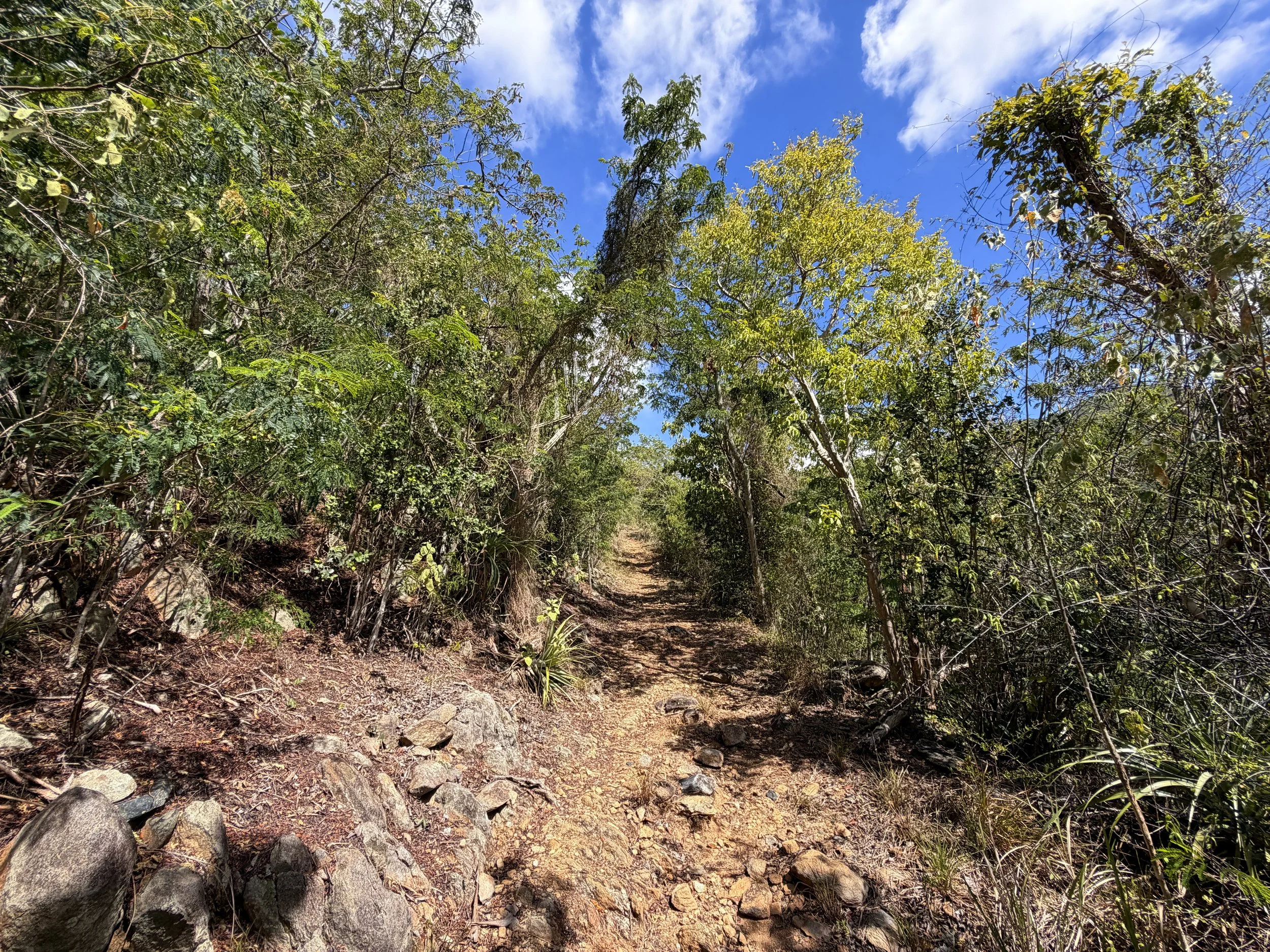 Lameshur Bay Trail Virgin Islands National Park