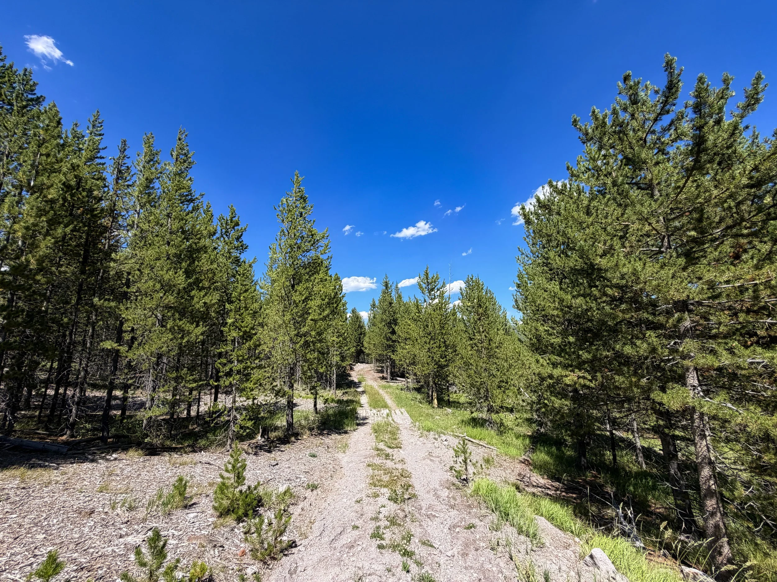 Fern Cascade Loop Trail Yellowstone National Park Wyoming