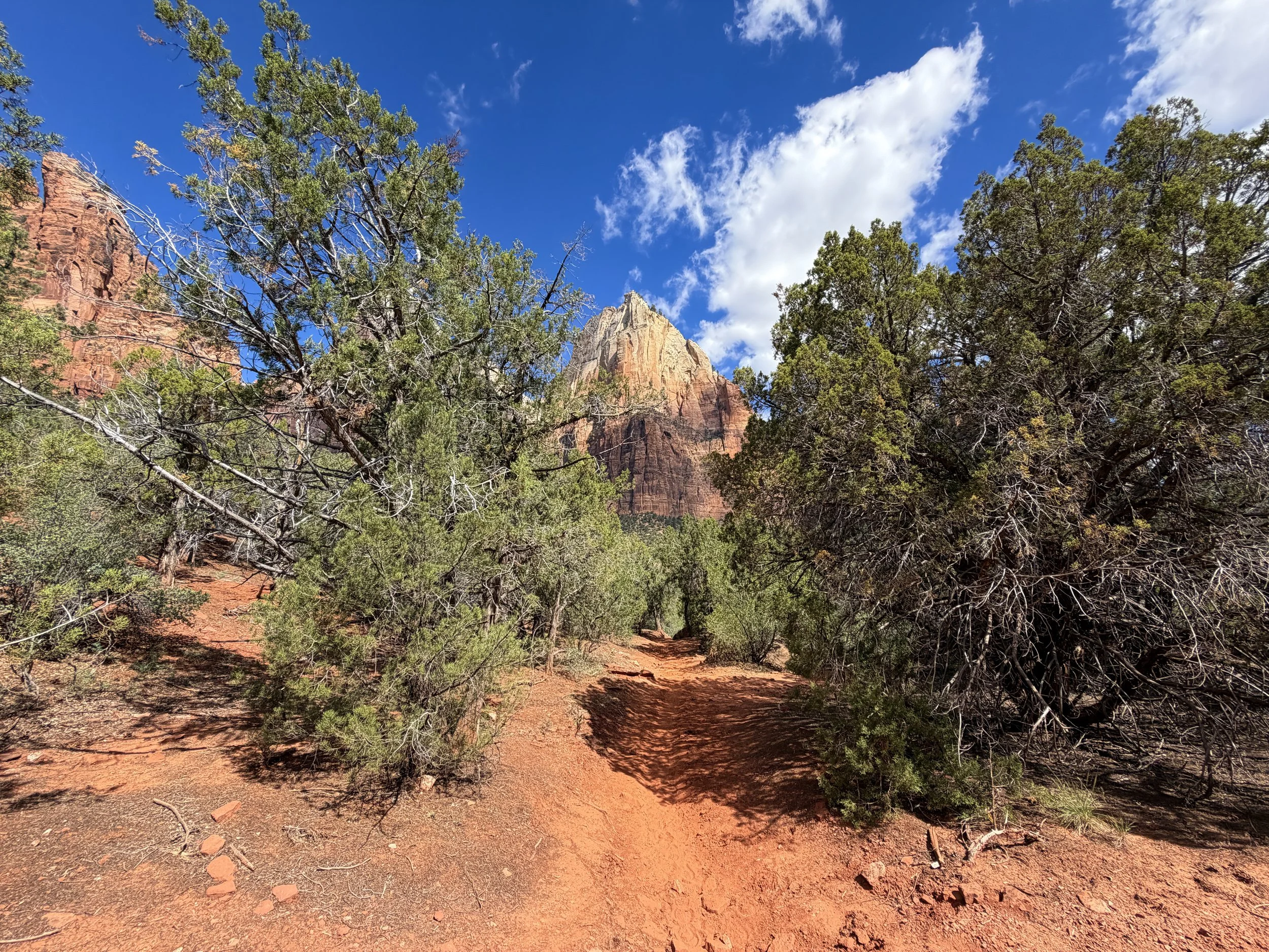 Sand Bench Trail Zion National Park Utah