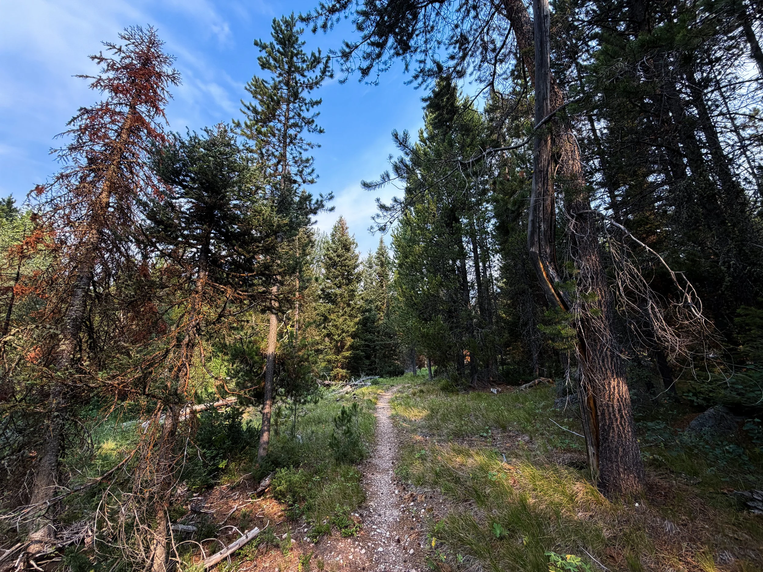 Boulder–Aspen Ridge Loop Trail Grand Teton National Park Wyoming
