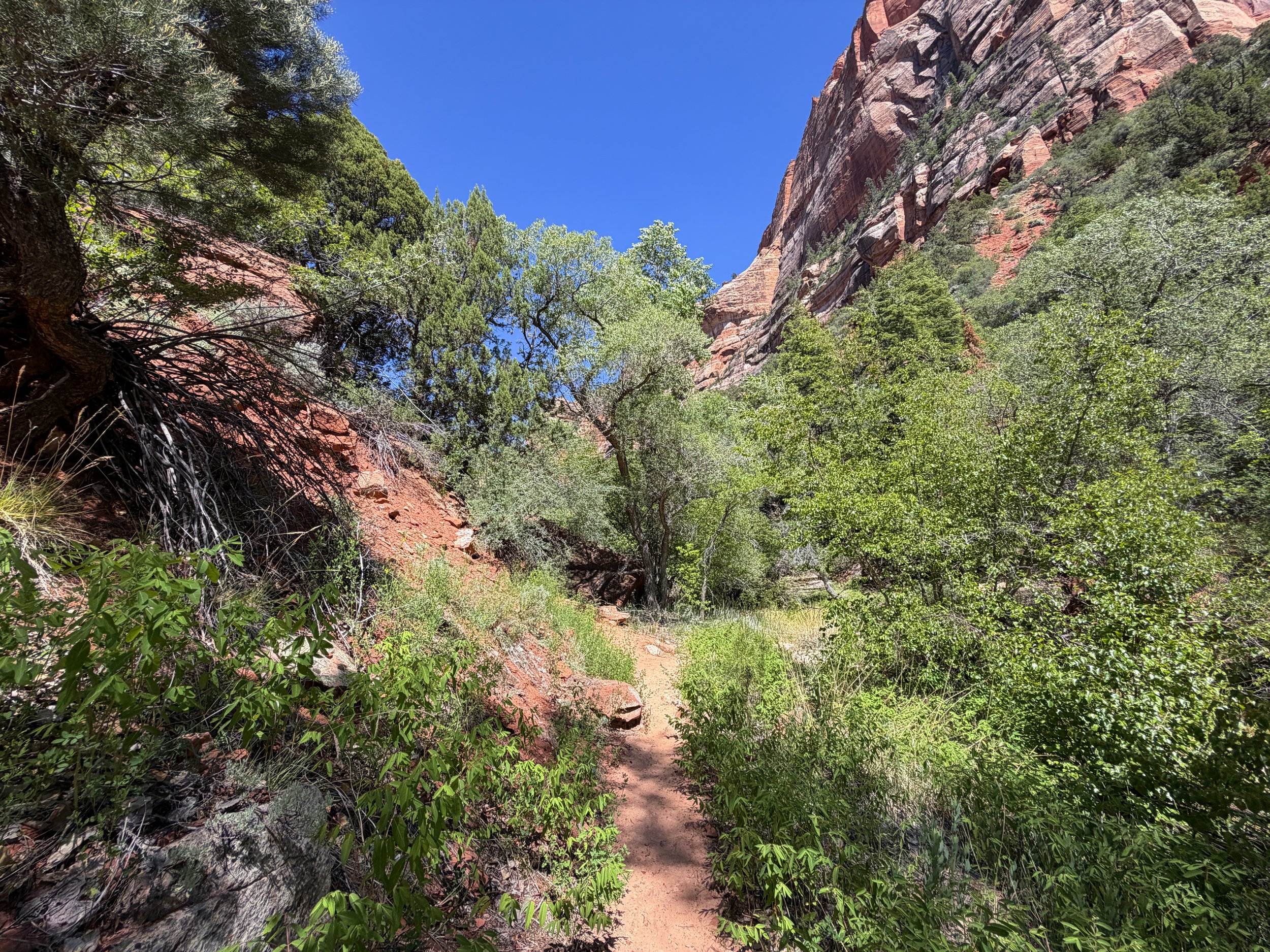 Subway Trail Zion National Park Utah