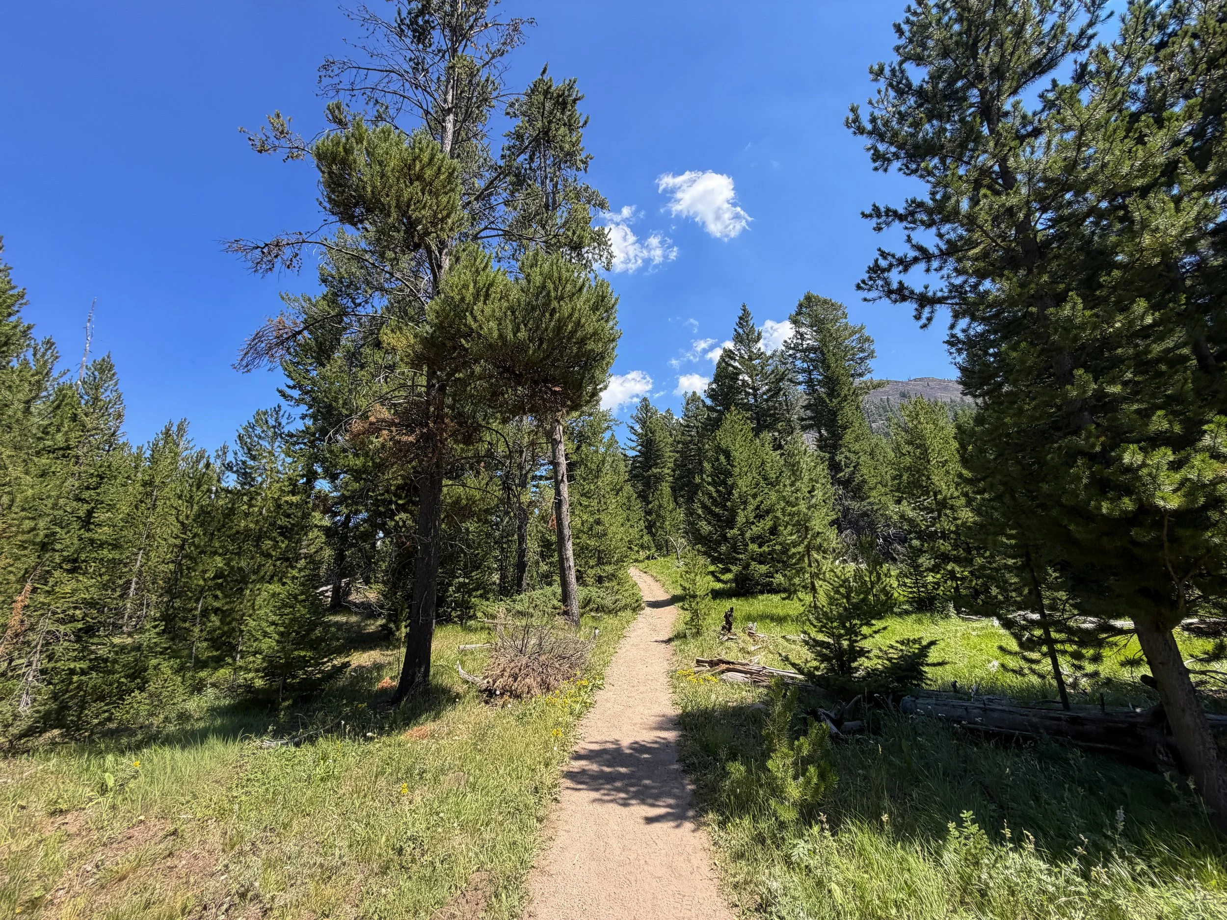 Bunsen Peak Trail Yellowstone National Park Wyoming