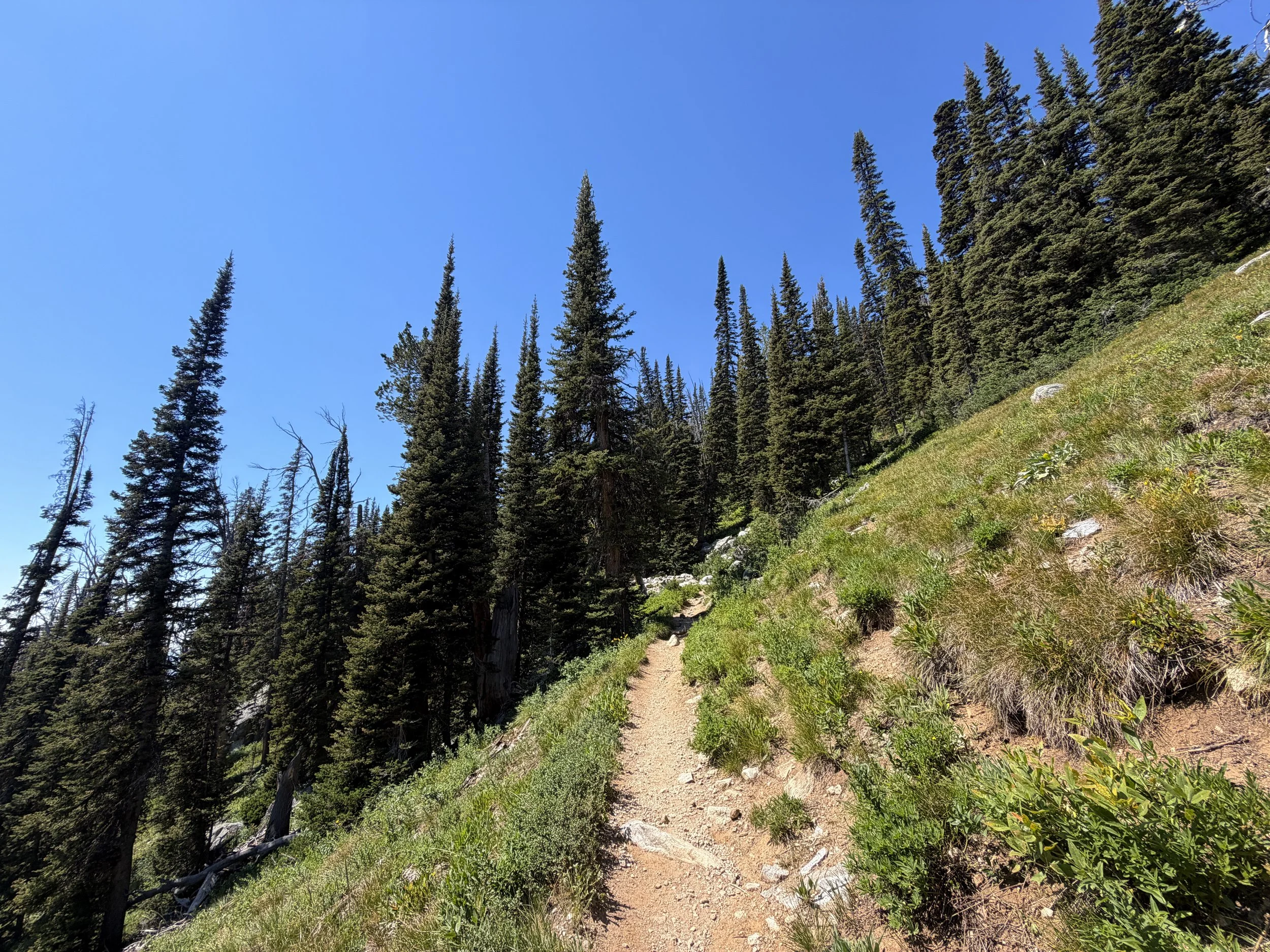 Surprise and Amphitheater Lakes Trail Grand Teton National Park Wyoming