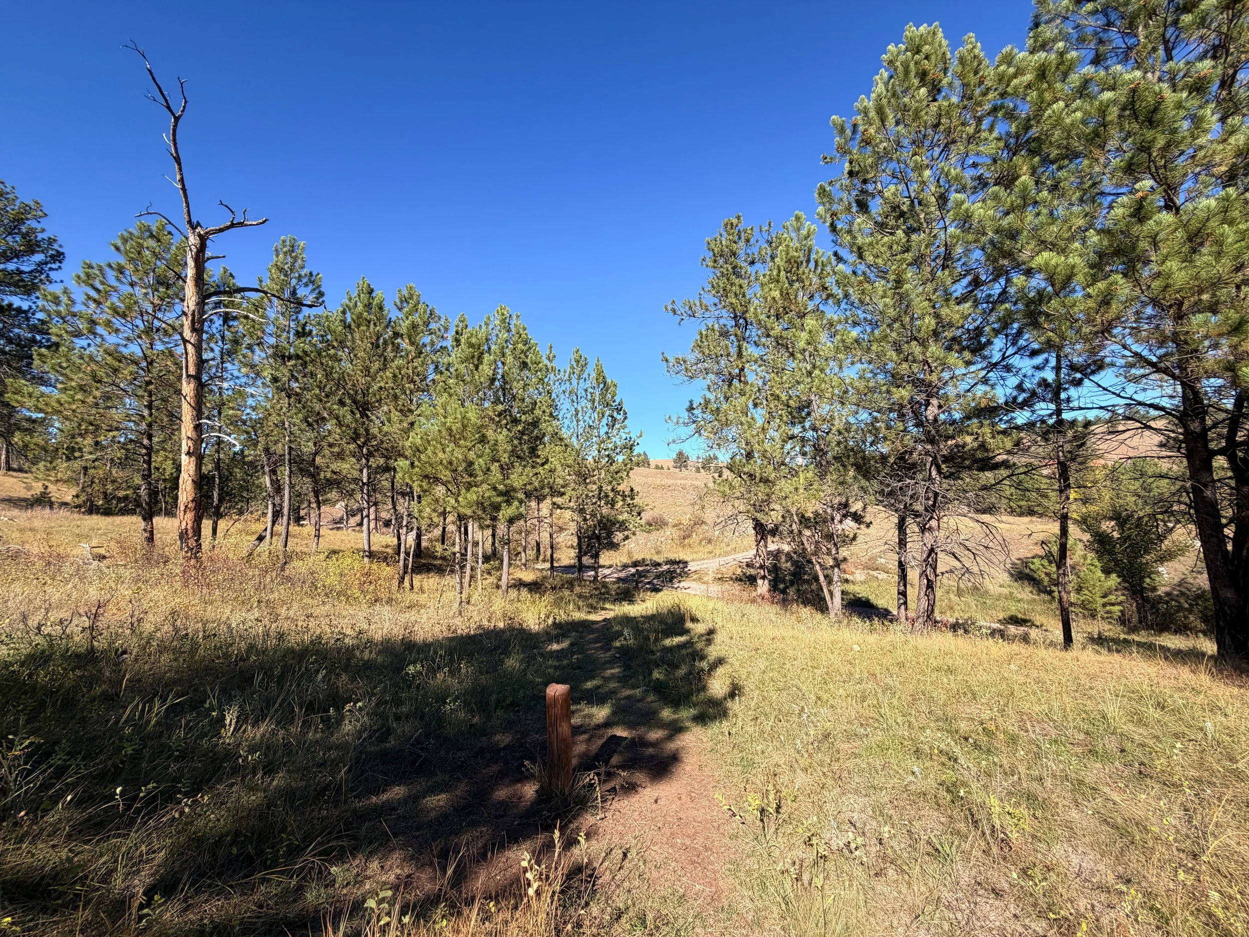 East Bison Flats Trail to Wind Cave Canyon Wind Cave National Park South Dakota