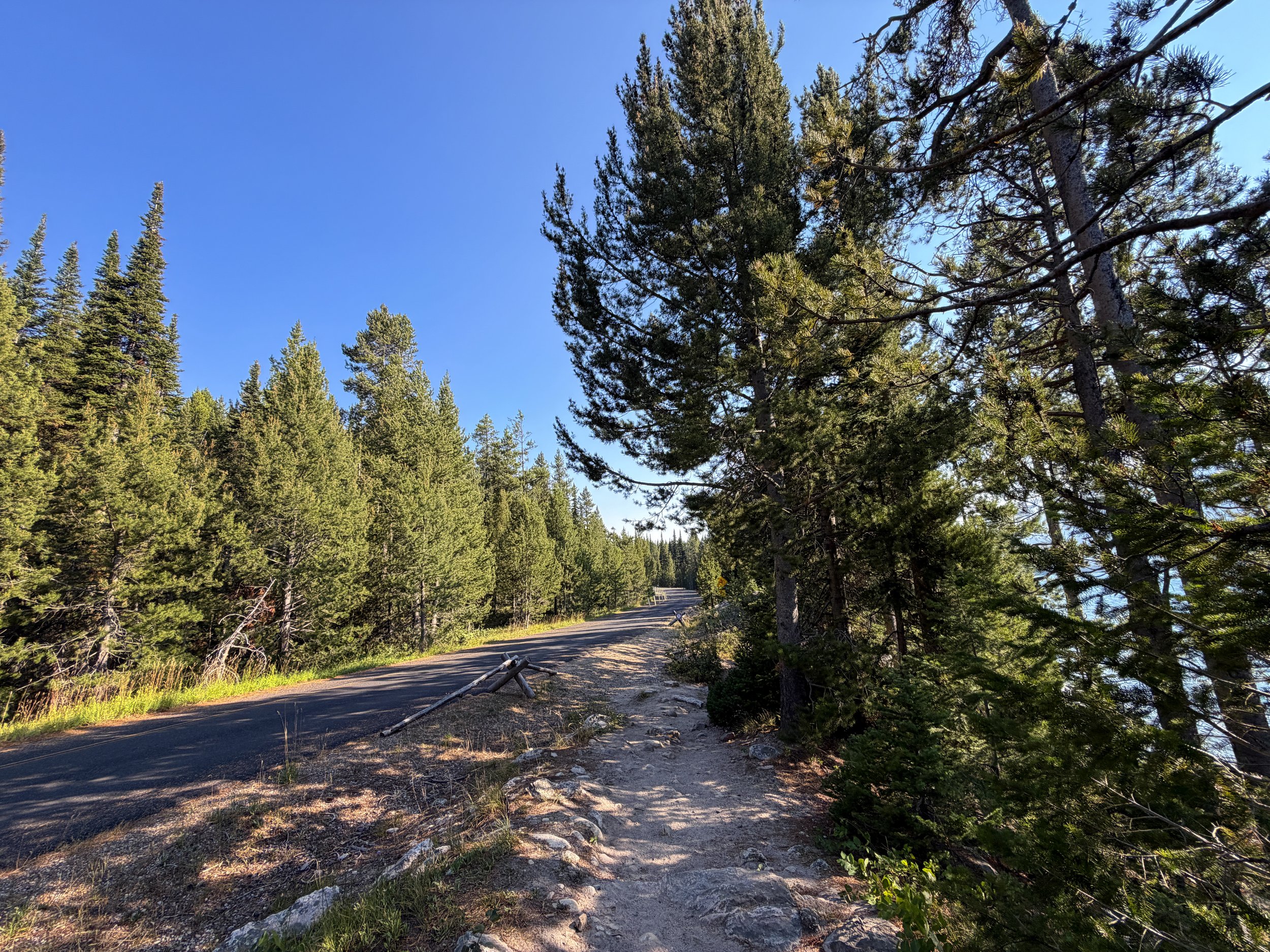 Jenny Lake Loop Trail Grand Teton National Park Wyoming
