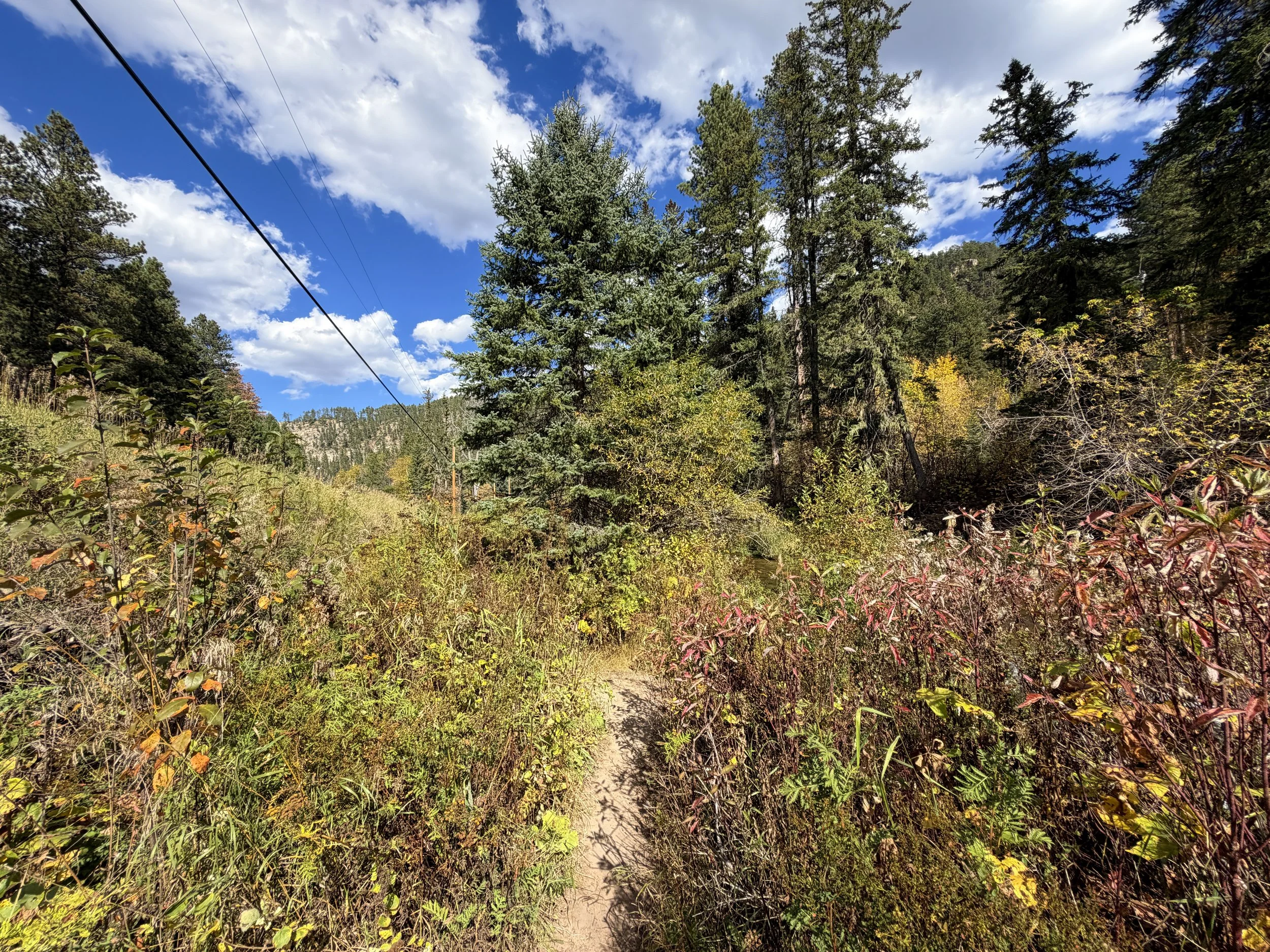 Devils Bathtub Trail Spearfish Canyon Black Hills South Dakota