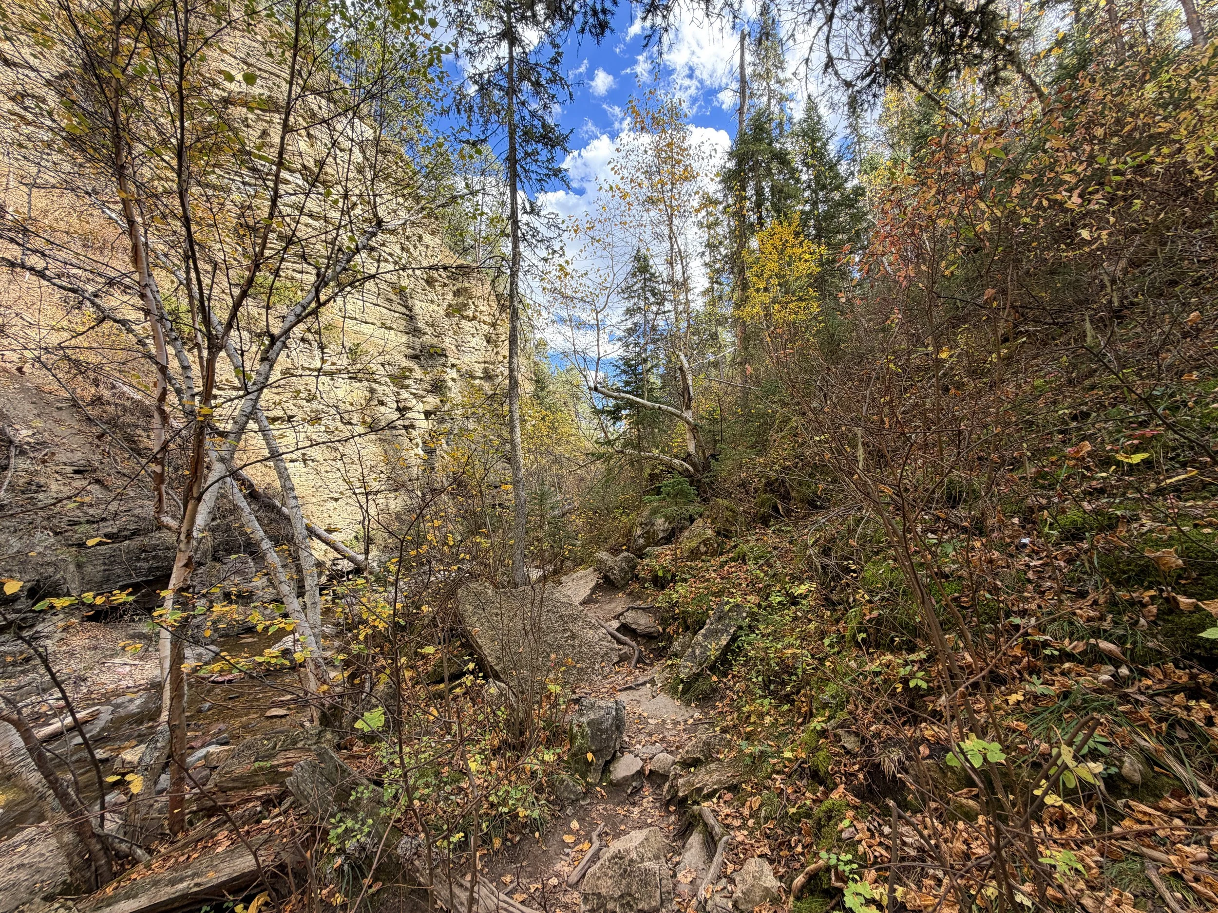 Devils Bathtub Trail Spearfish Canyon Black Hills South Dakota