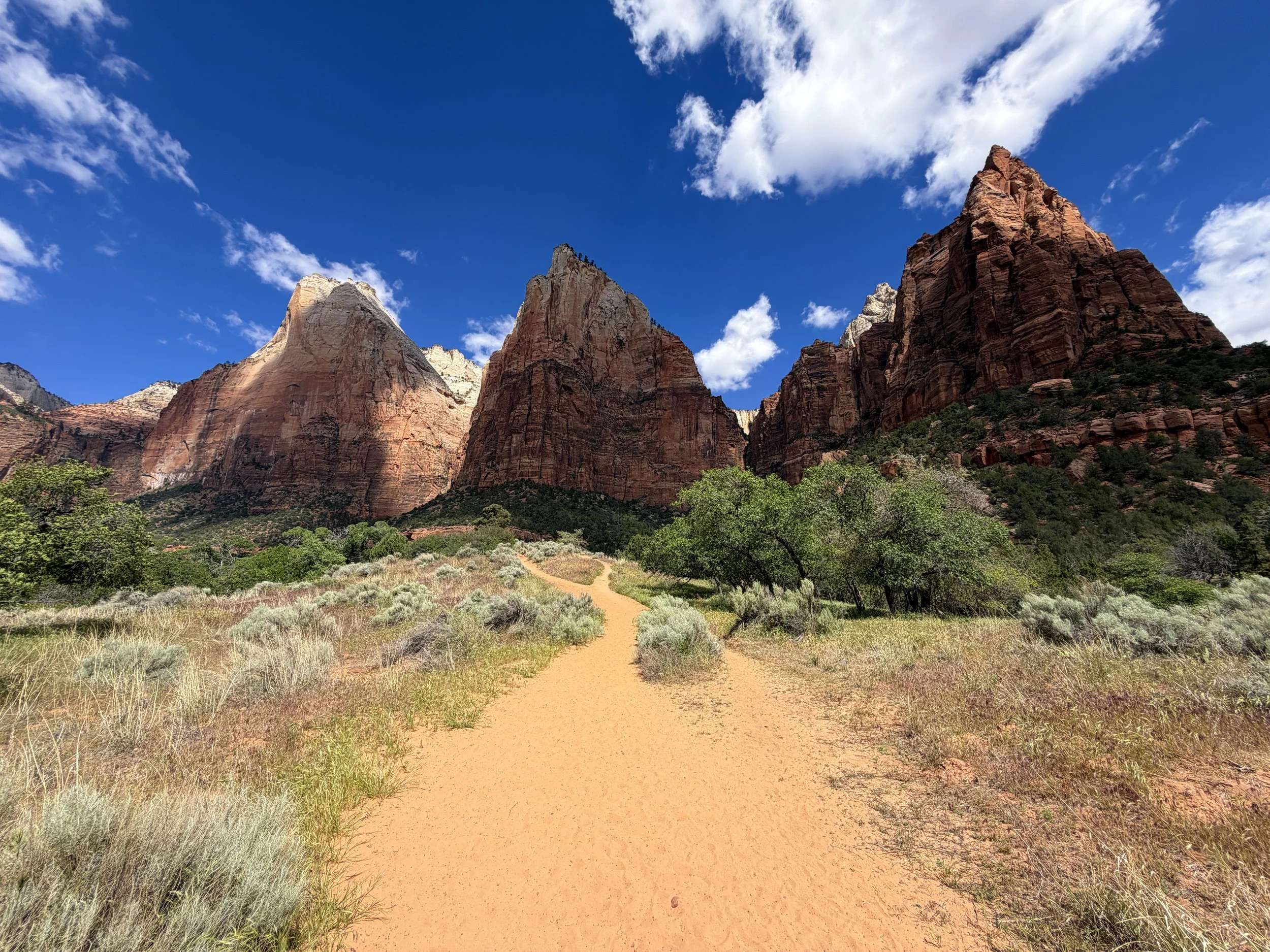 Sand Bench Trail Zion National Park Utah