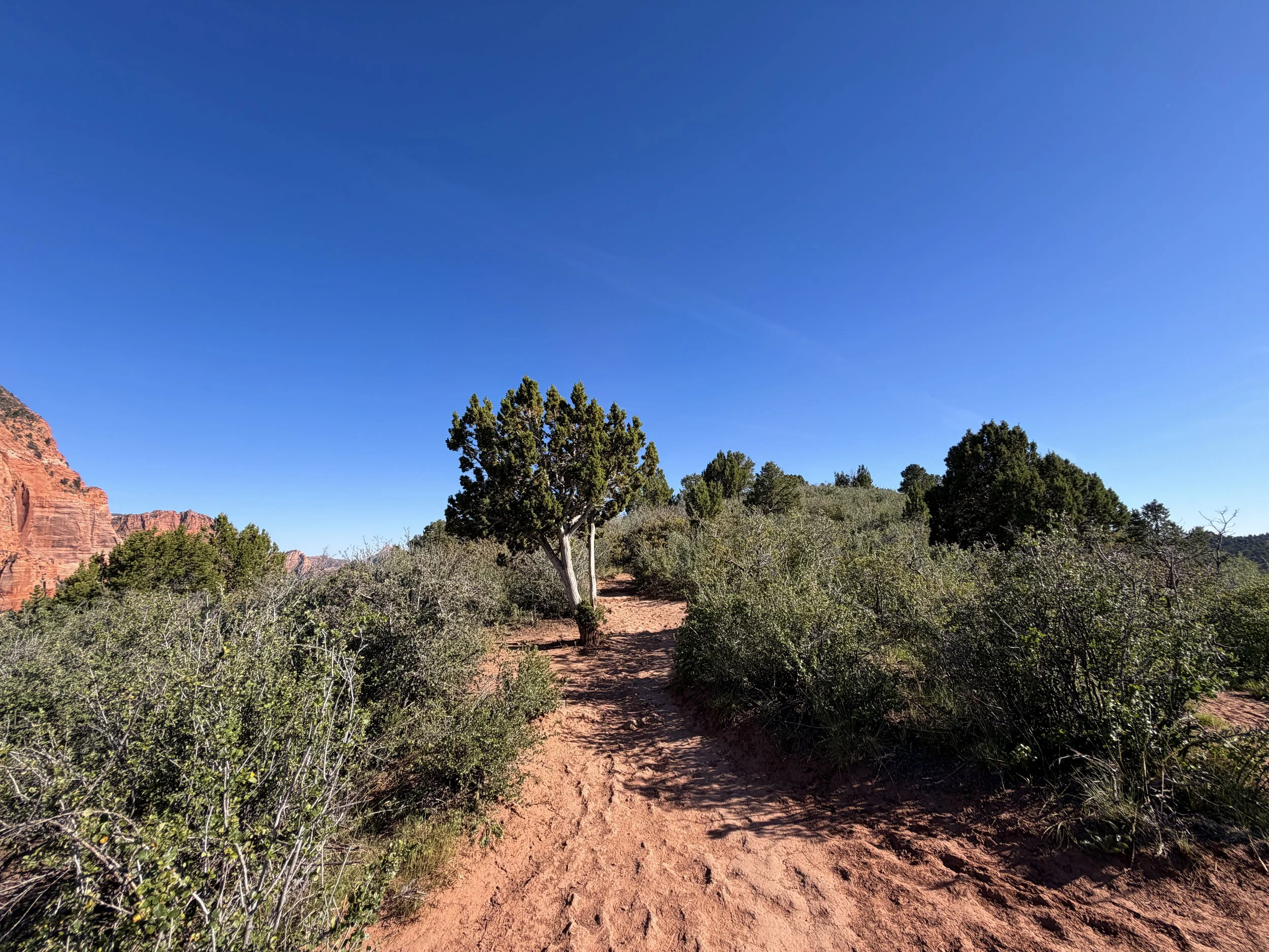 Timber Creek Overlook Hike Zion National Park Utah