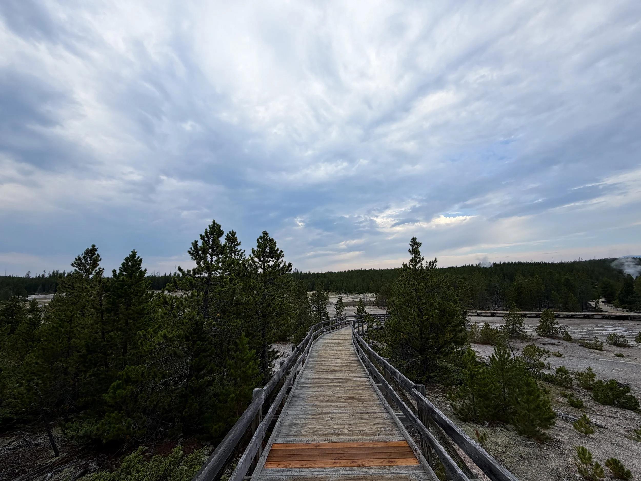 Back Basin Norris Geyser Basin Trail Yellowstone National Park Wyoming