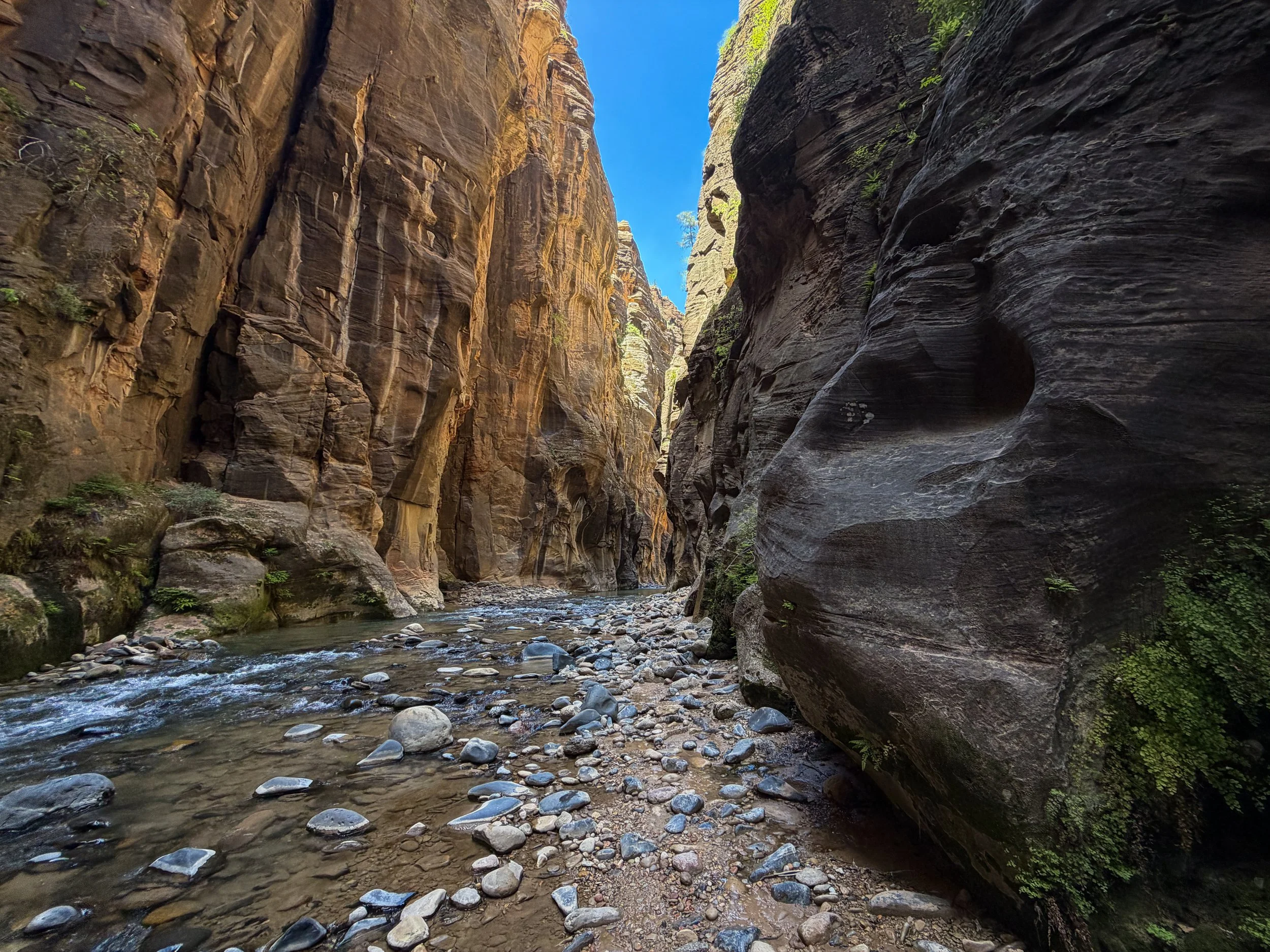 The Narrows Bottom Up to Big Springs Zion National Park Utah