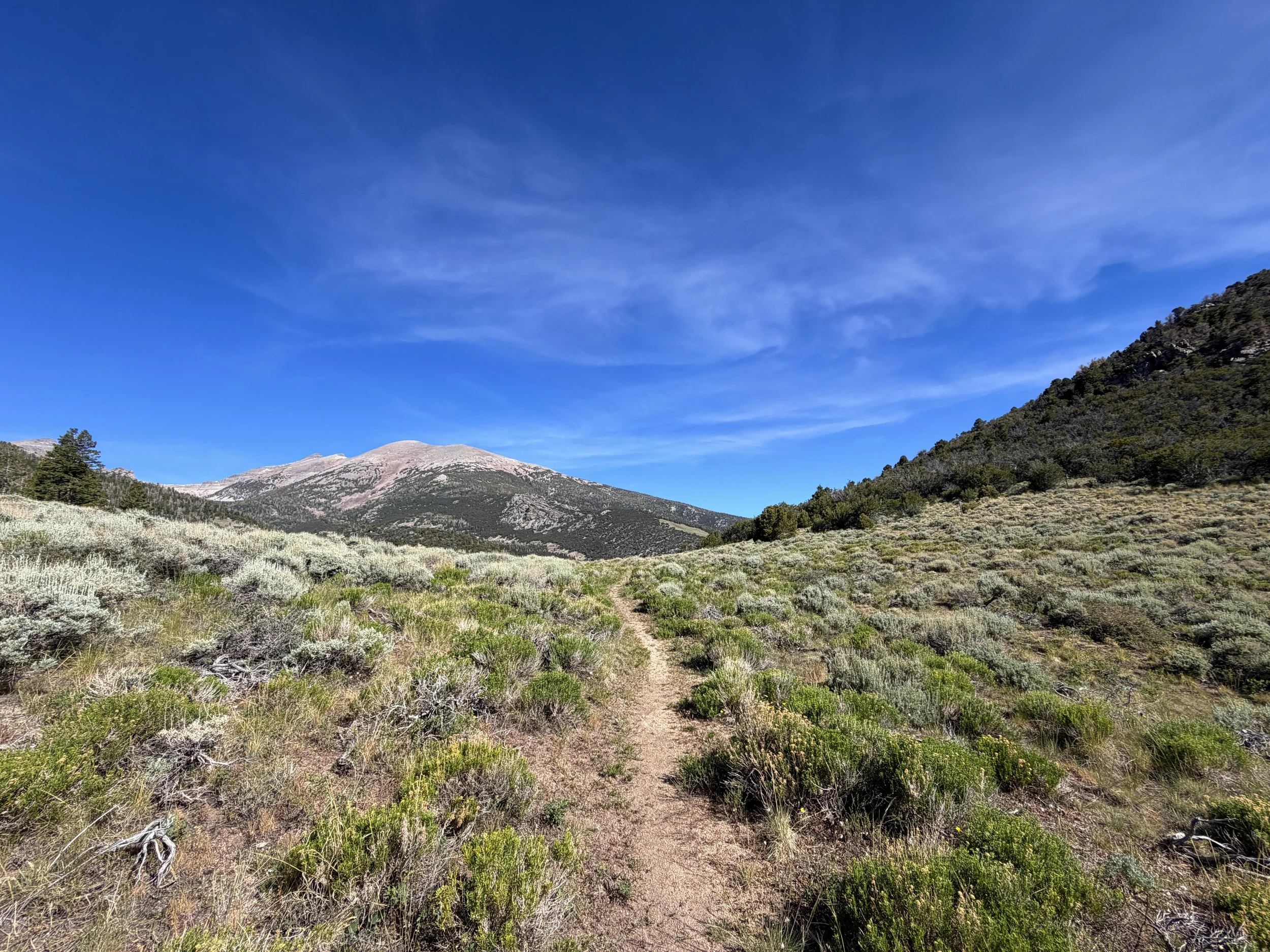 Pole Canyon Hike Great Basin National Park Nevada