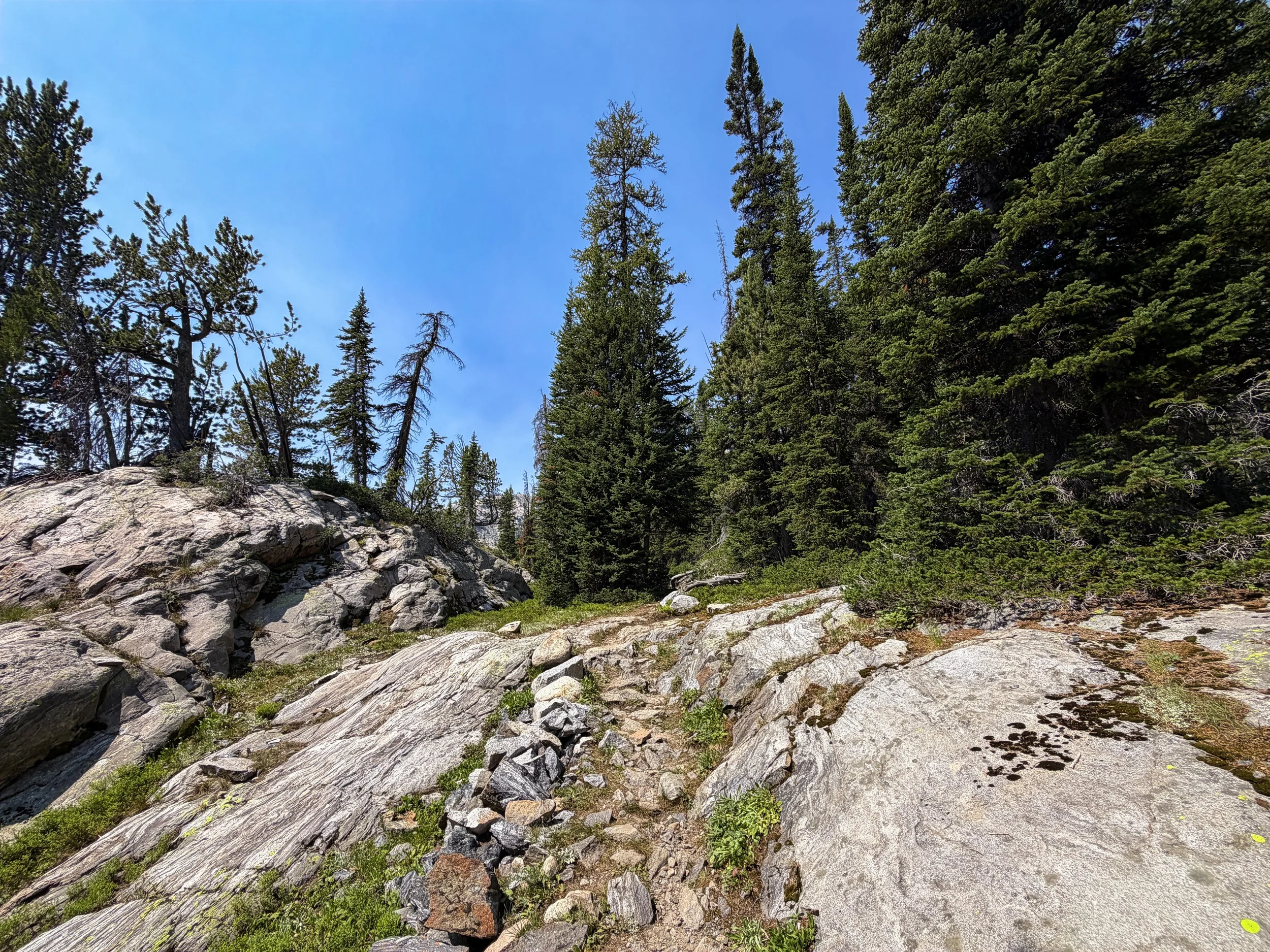 The Beaten Path Trail Beartooth Mountains Montana
