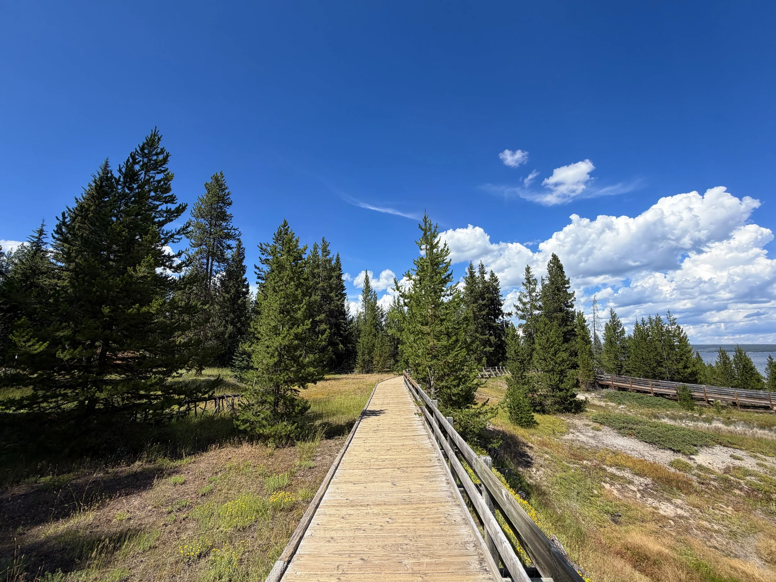 West Thumb Geyser Basin Trail Yellowstone National Park Wyoming