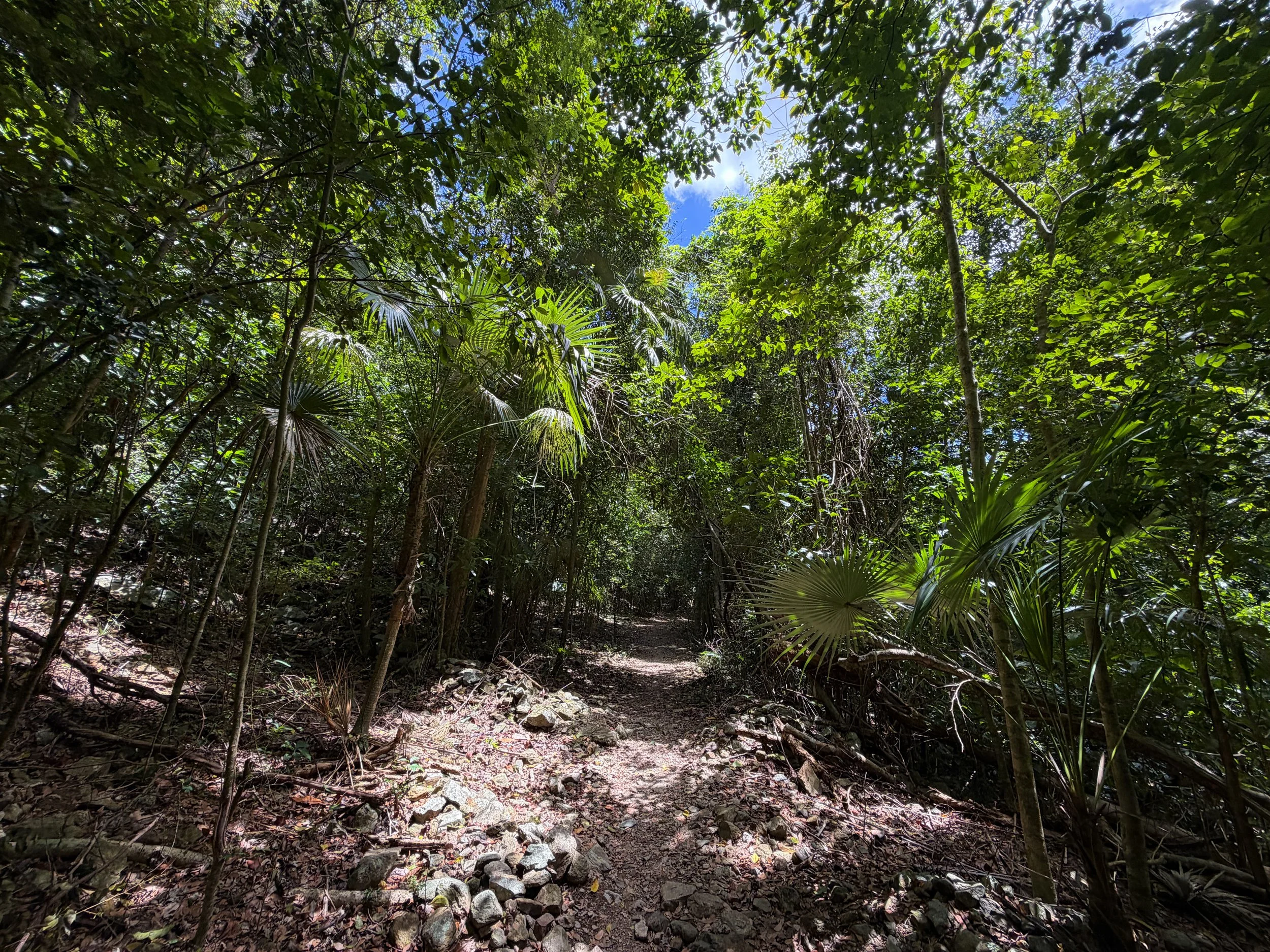 Reef Bay Trail Virgin Islands National Park