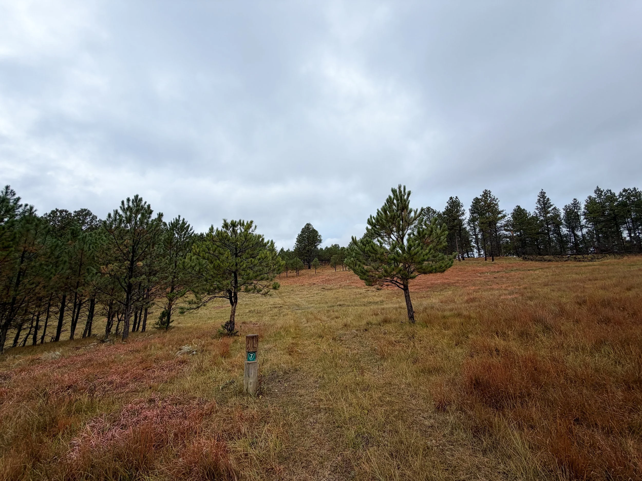 Highland Creek to Wind Cave Canyon Trail Wind Cave National Park South Dakota