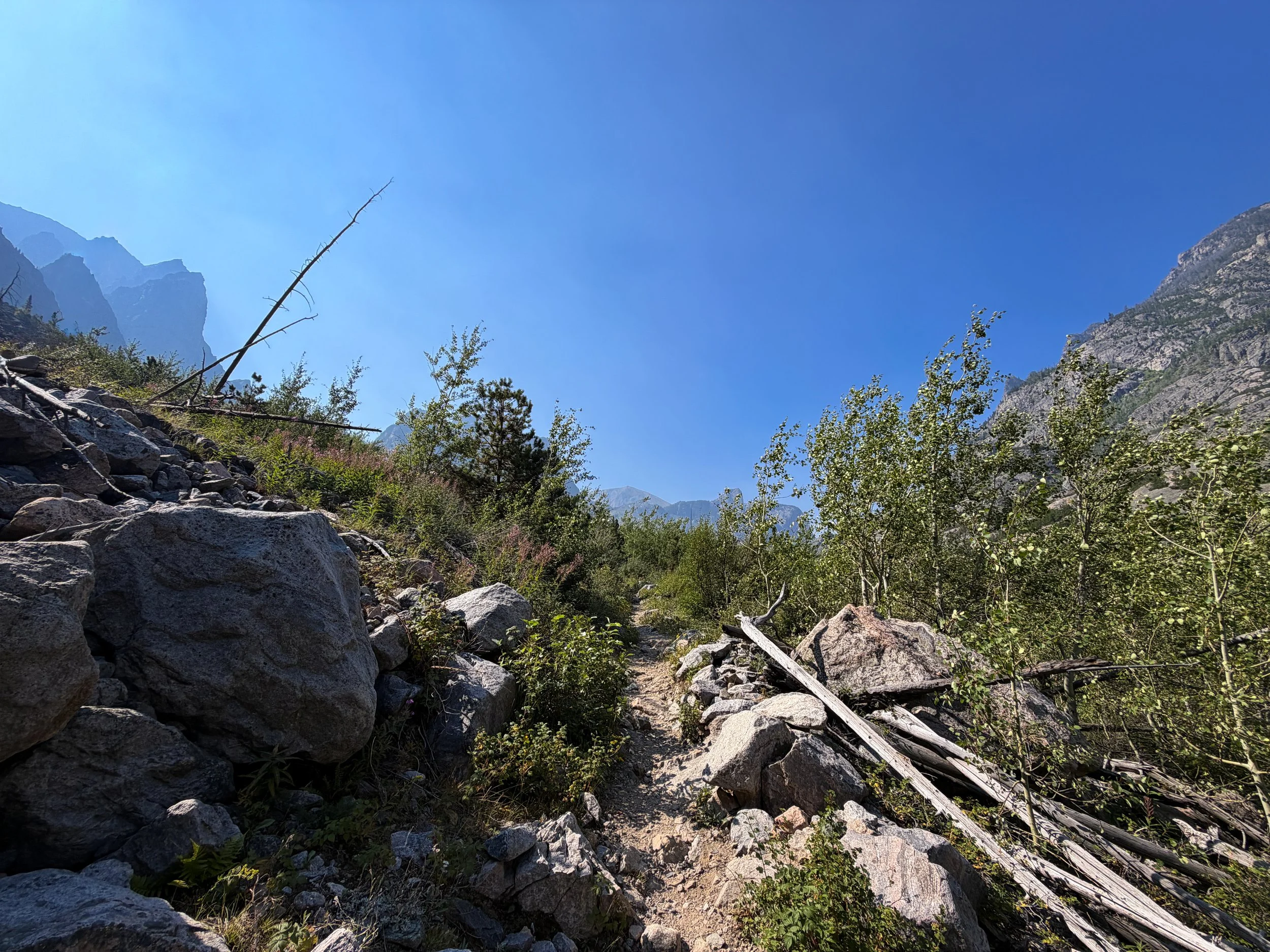 The Beaten Path Trail Beartooth Mountains Montana