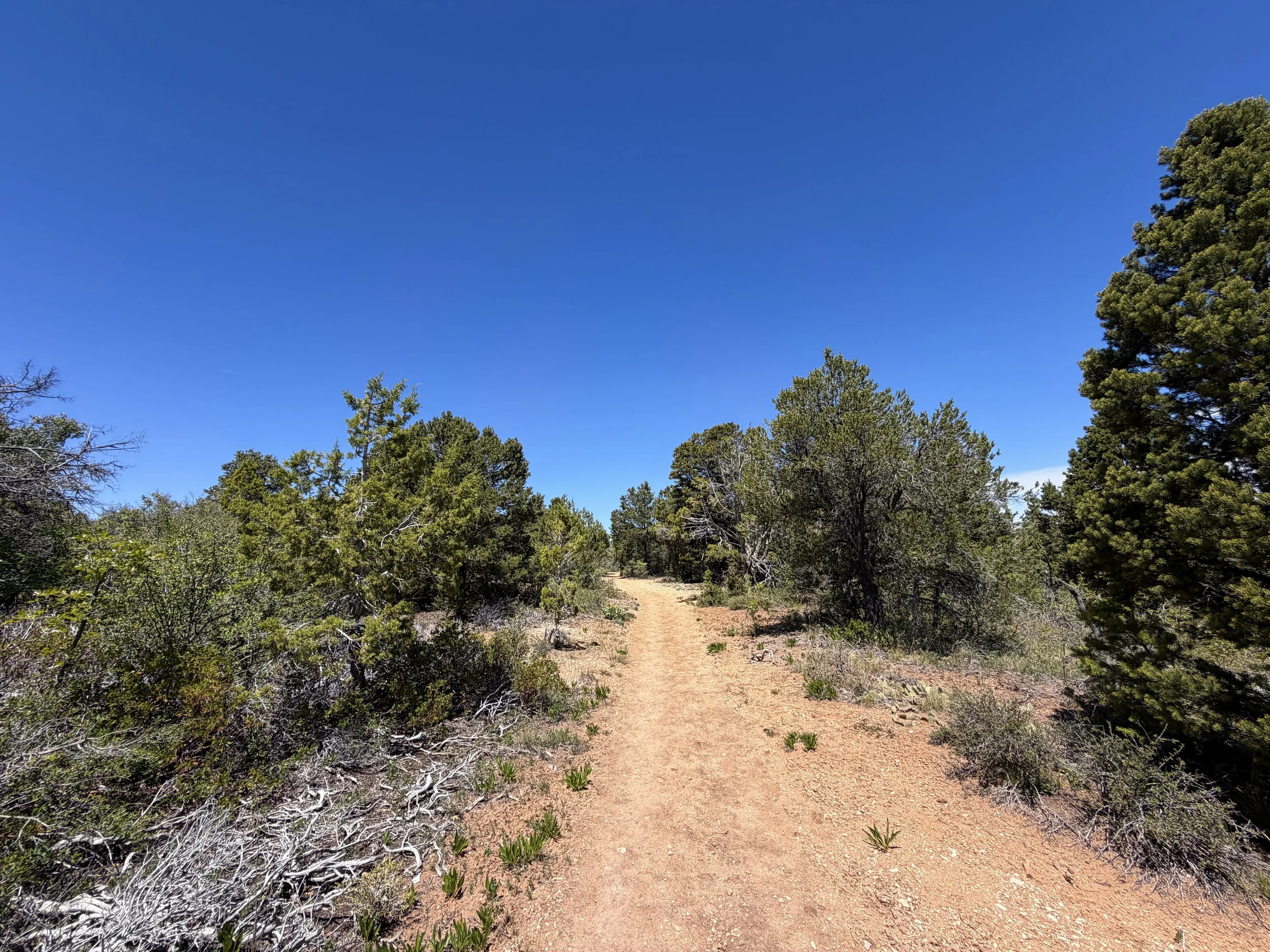 Cable Mountain Trail Zion National Park Utah