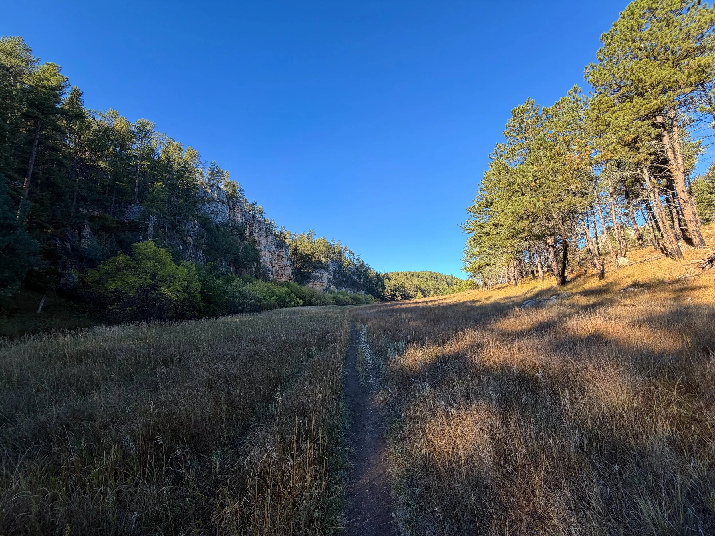Cold Brook Canyon Trail Wind Cave National Park South Dakota