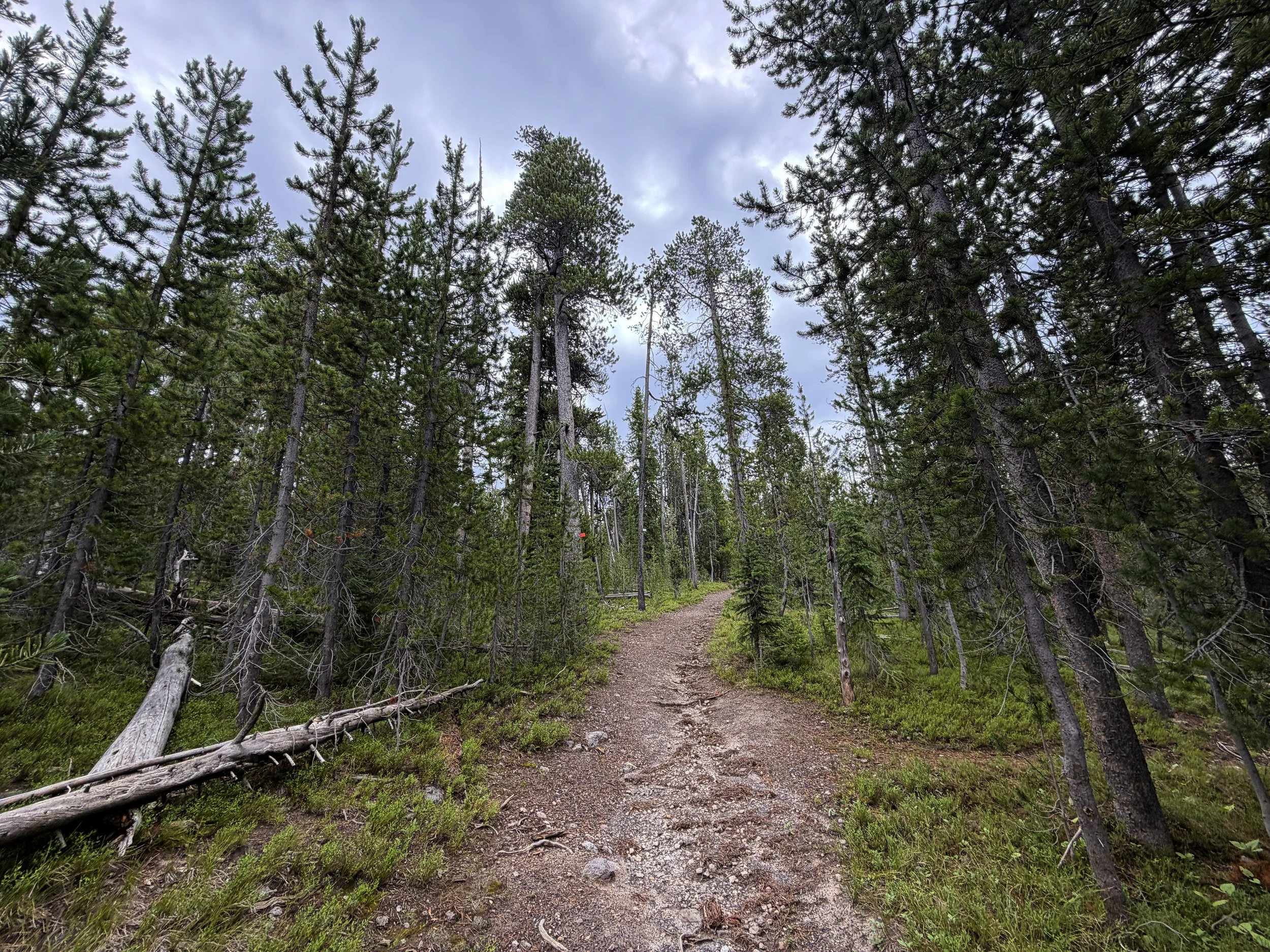 Divide Trail Yellowstone National Park Wyoming