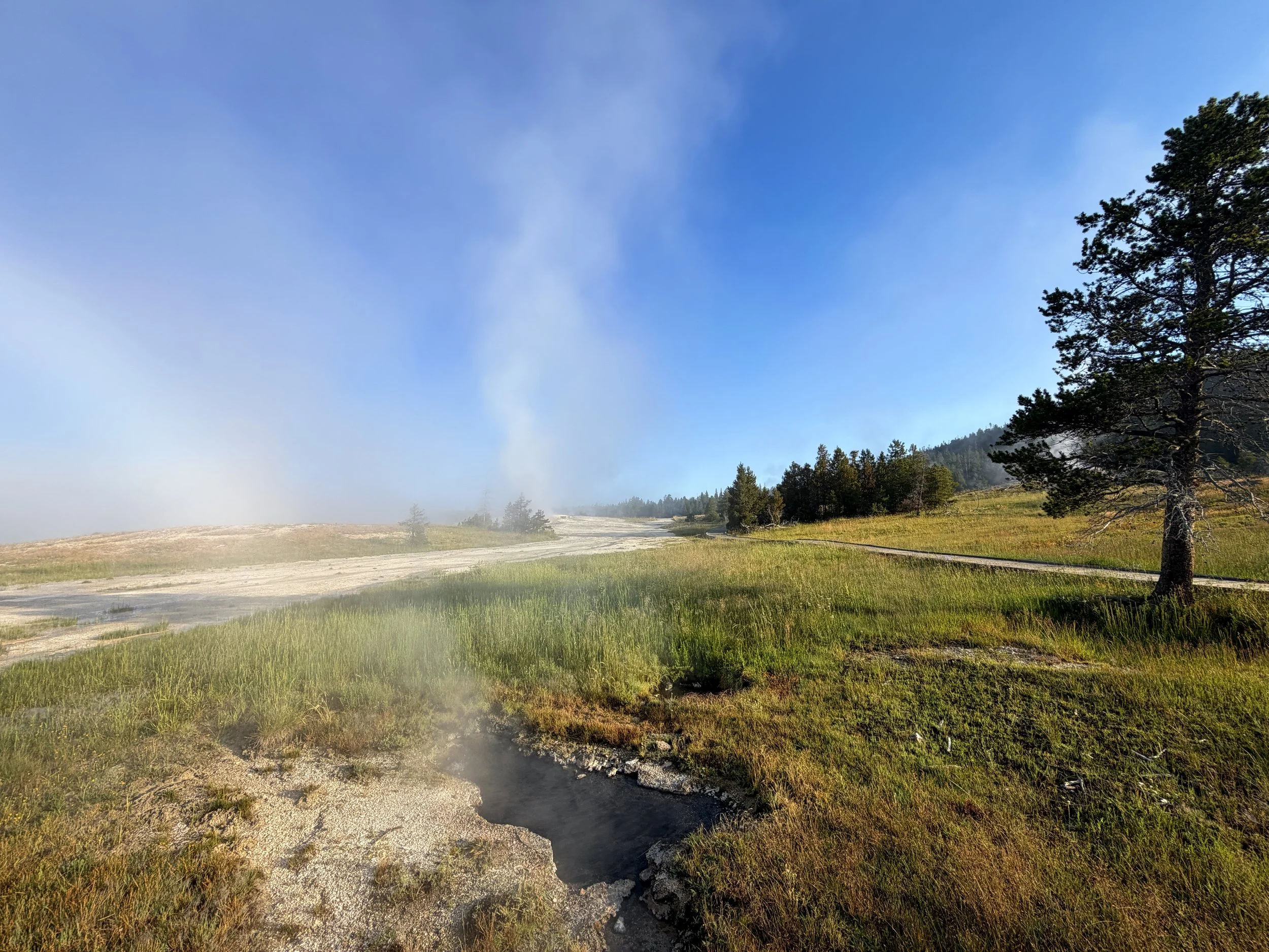 Sulphide Spring Yellowstone National Park Wyoming