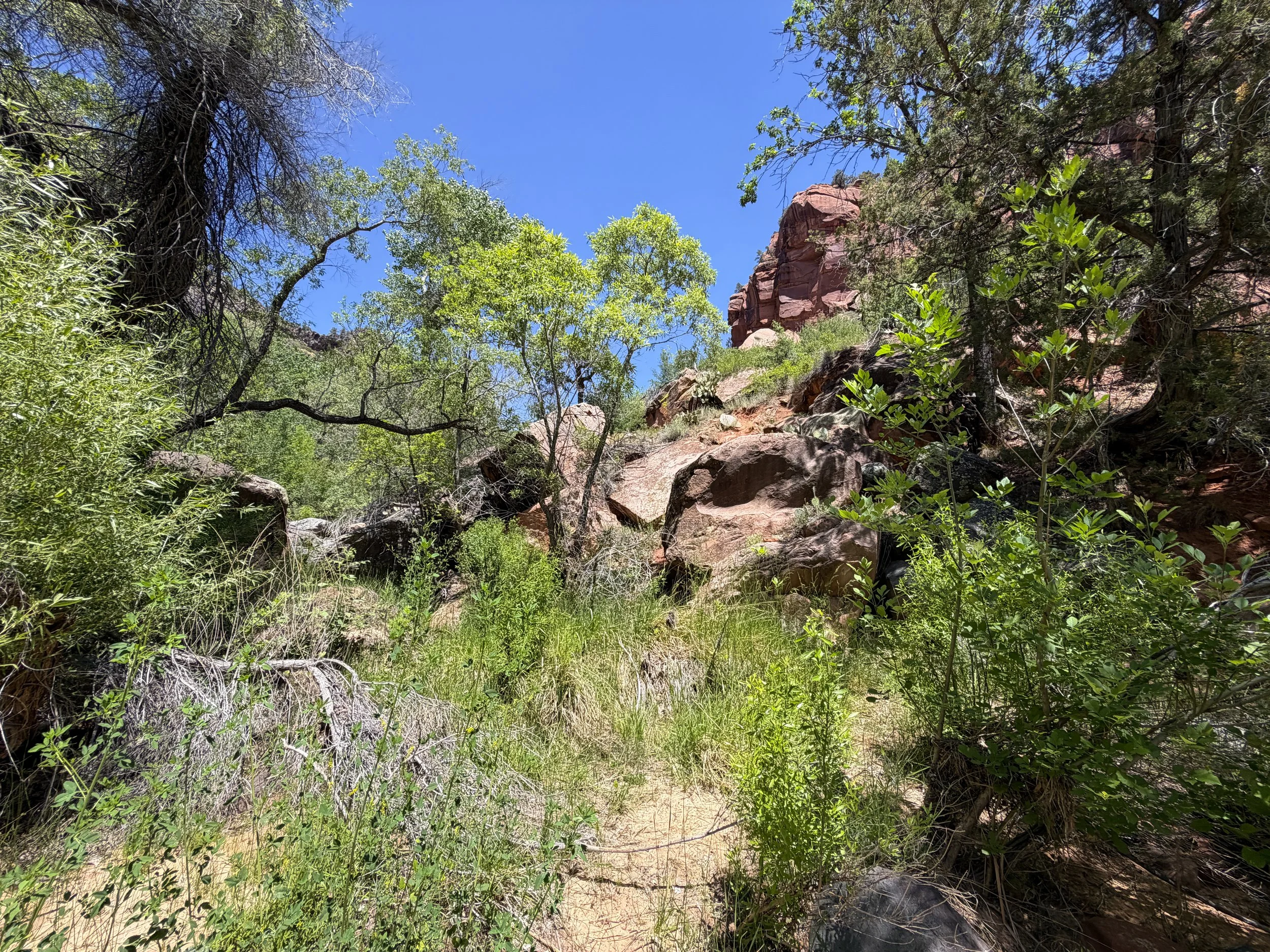 Grapevine Hike to Left Fork Falls Zion National Park Utah