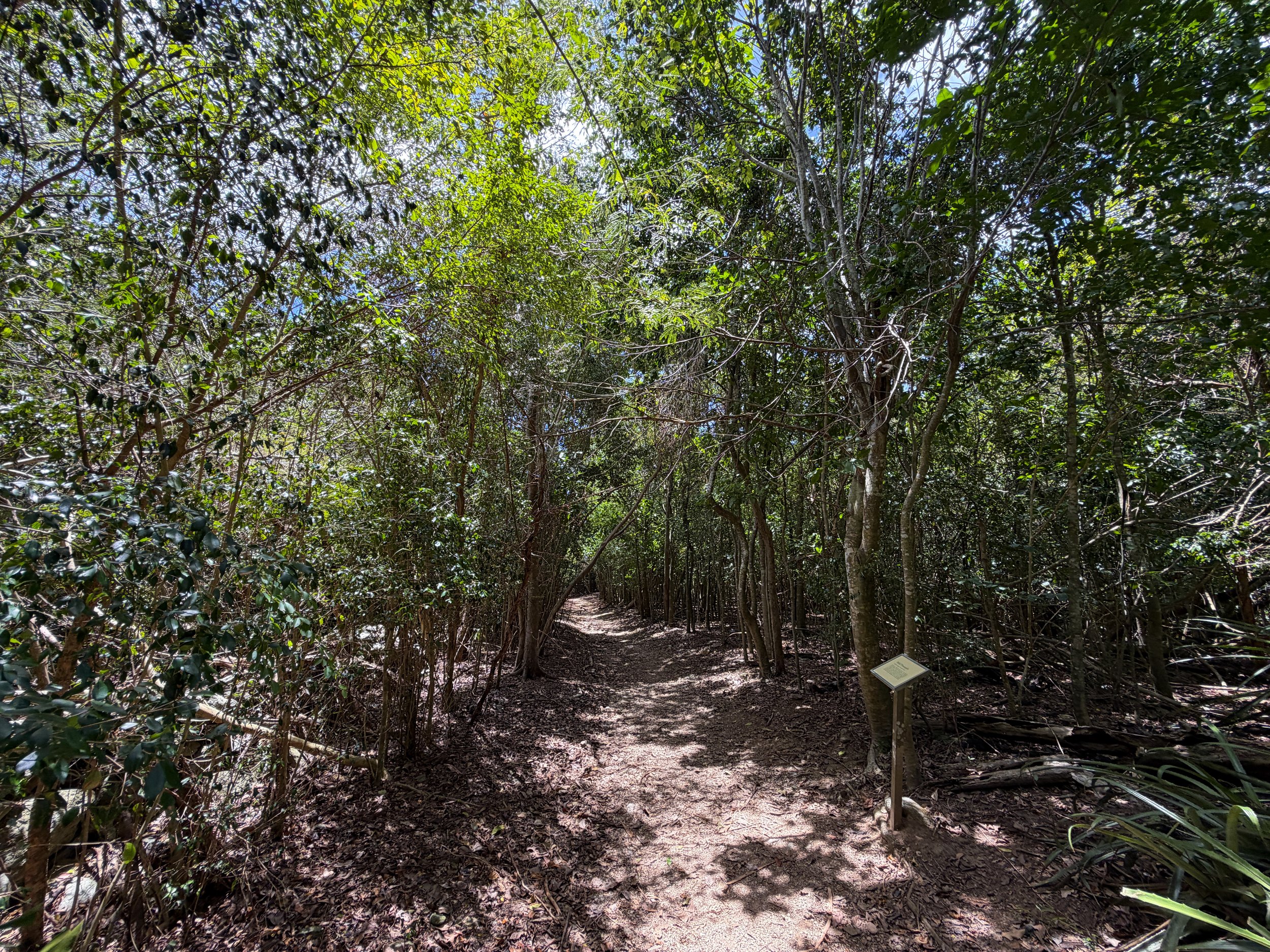 Reef Bay Trail Virgin Islands National Park