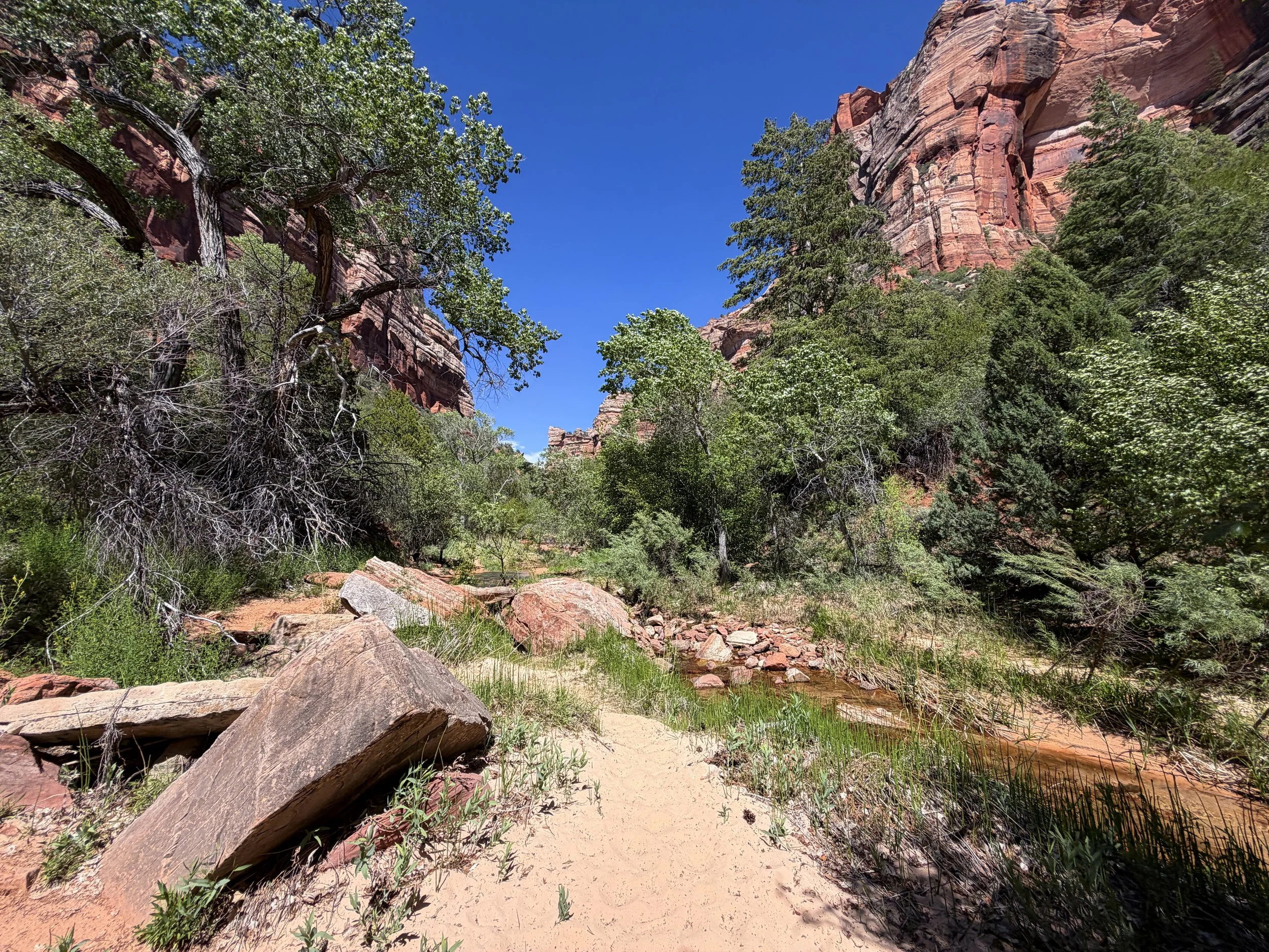 Subway Trail Left Fork North Creek Zion National Park Utah