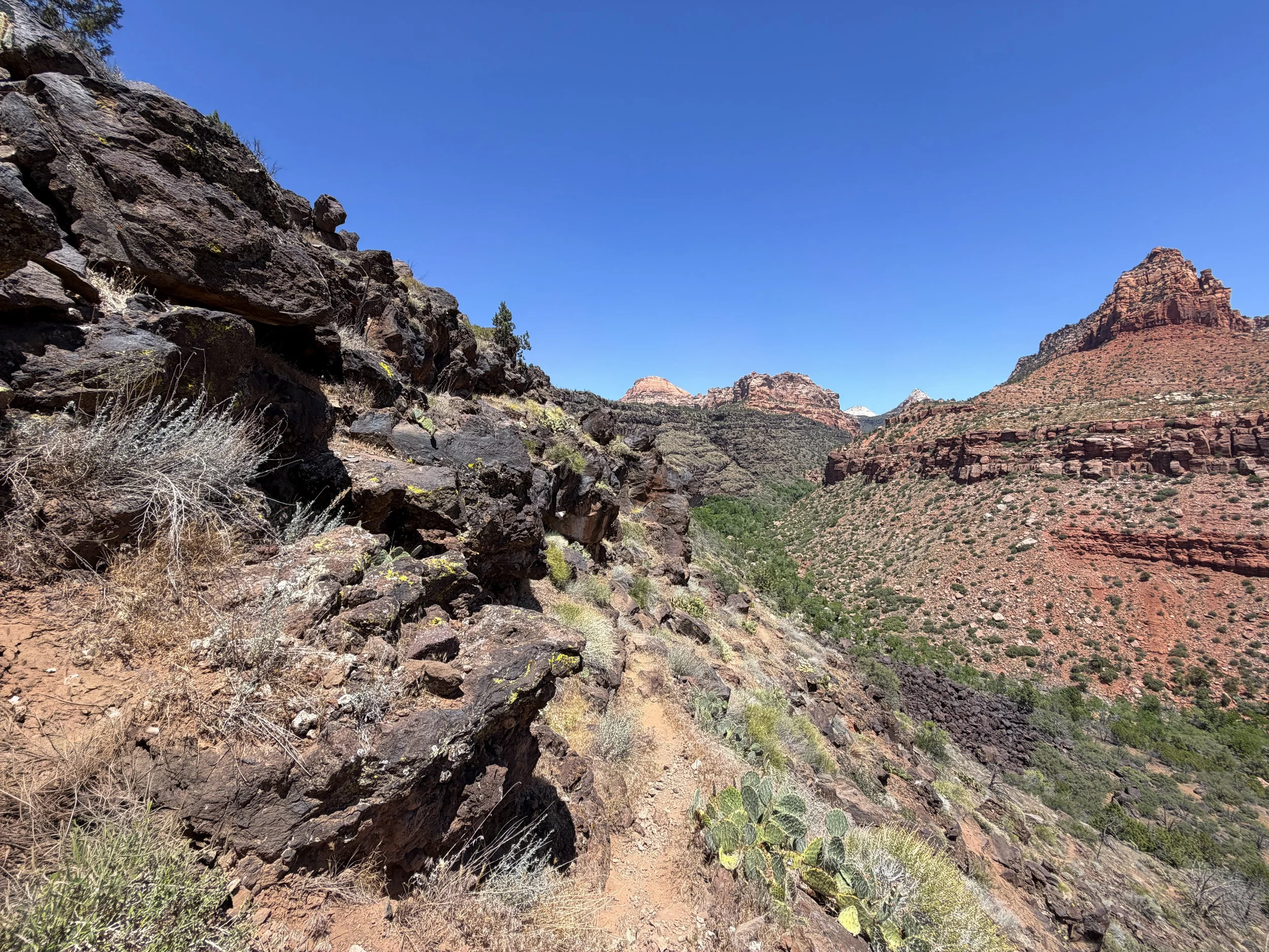 Grapevine Trail Zion National Park Utah